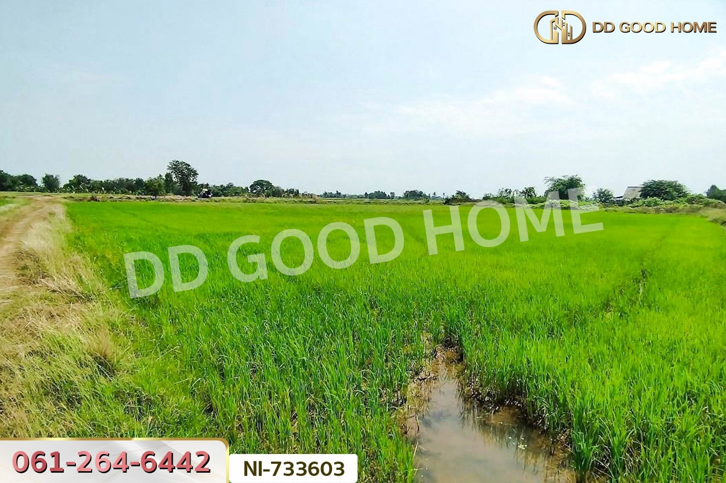 NI-733603 ที่ดินสามโก้ 14 ไร่ 84.3 ตร.ว. อ่างทอง ใกล้โรงพยาบาลสามโก้