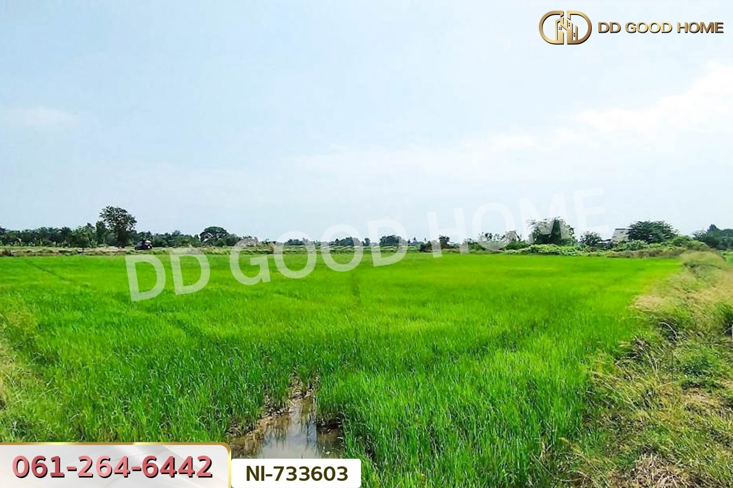 NI-733603 ที่ดินสามโก้ 14 ไร่ 84.3 ตร.ว. อ่างทอง ใกล้โรงพยาบาลสามโก้