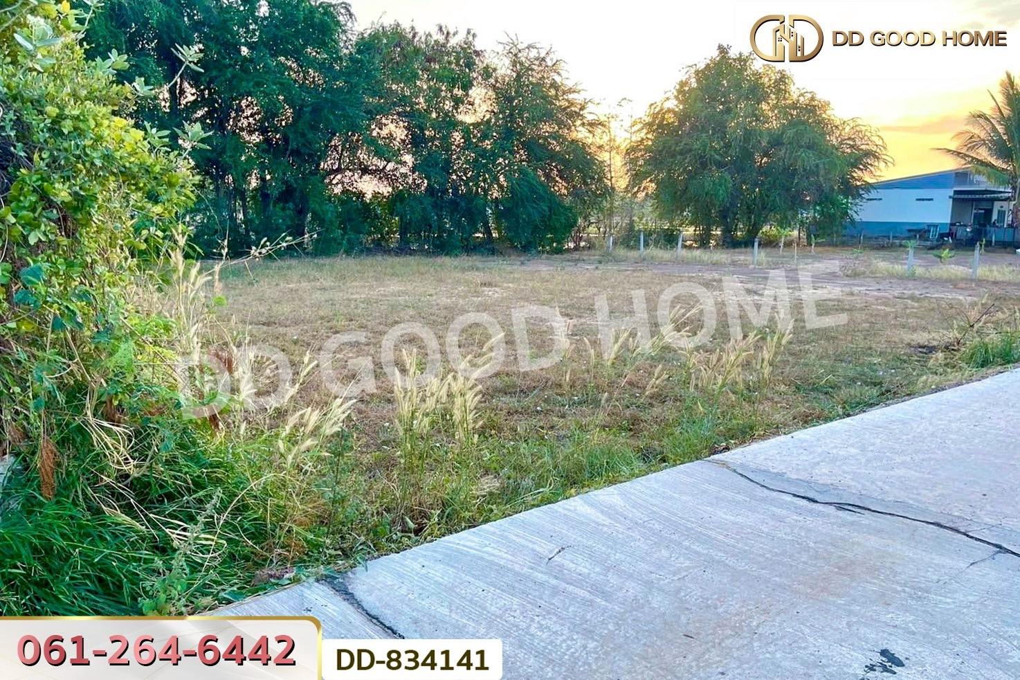 DD-834141 ที่ดินนาเชือก 113 ตร.ว. มหาสารคาม ใกล้วัดกุดรังสุทธาราม