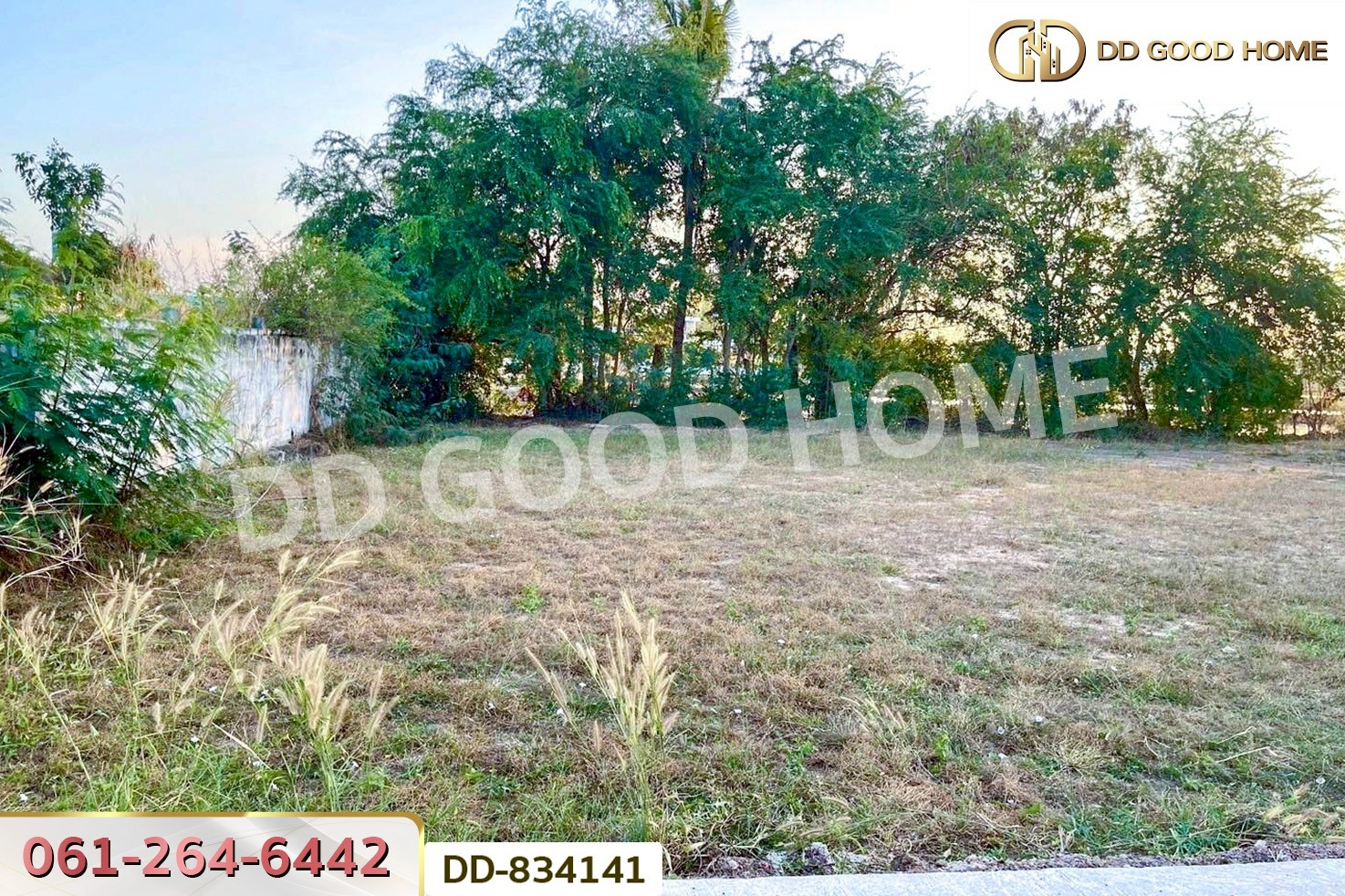 DD-834141 ที่ดินนาเชือก 113 ตร.ว. มหาสารคาม ใกล้วัดกุดรังสุทธาราม