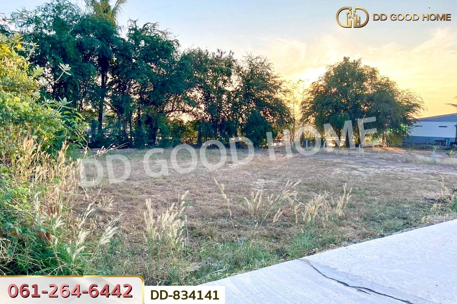 DD-834141 ที่ดินนาเชือก 113 ตร.ว. มหาสารคาม ใกล้วัดกุดรังสุทธาราม