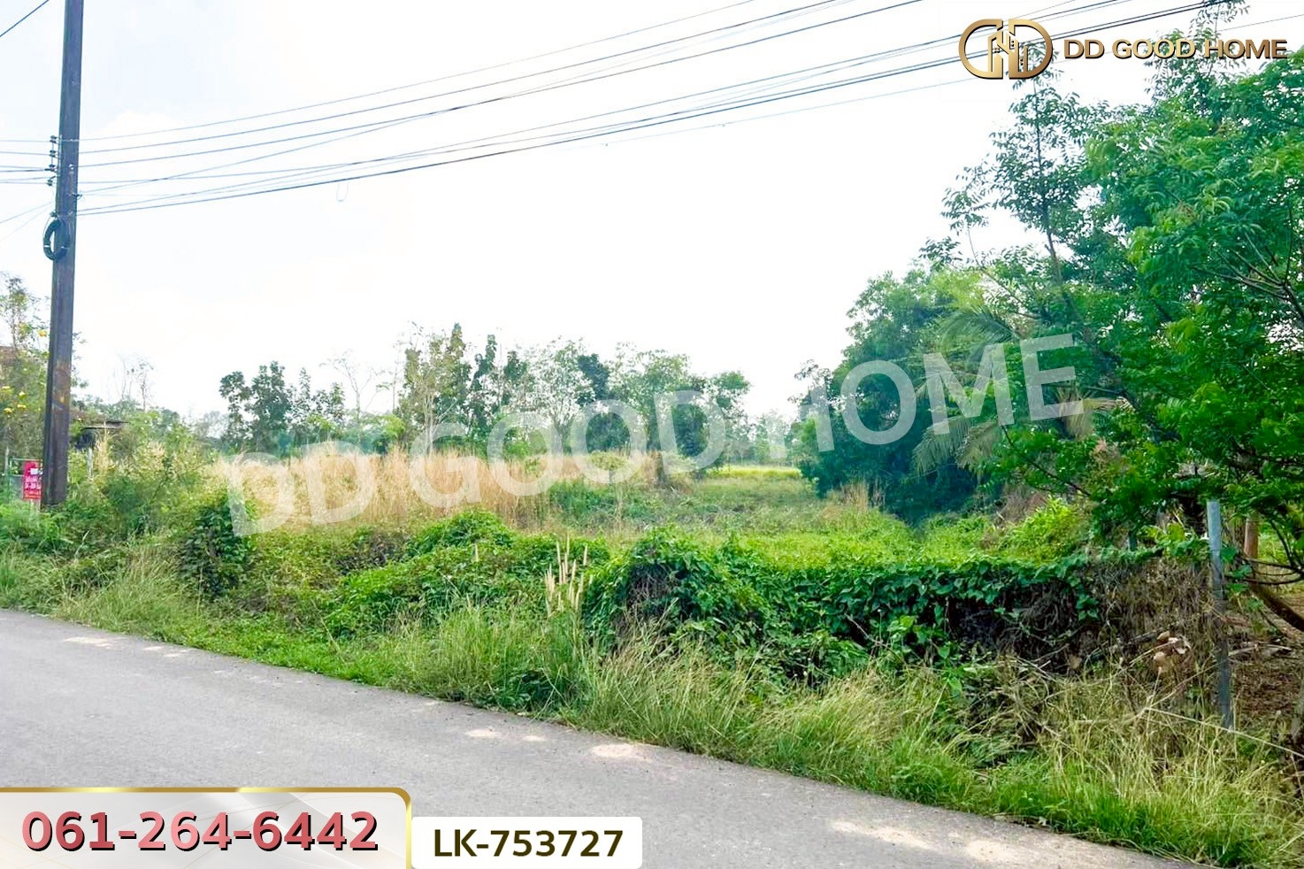 NI-753727 ที่ดินปากพลี 5 ไร่ 255.4 ตร.ว. นครนายก ใกล้วัดดงแขวน