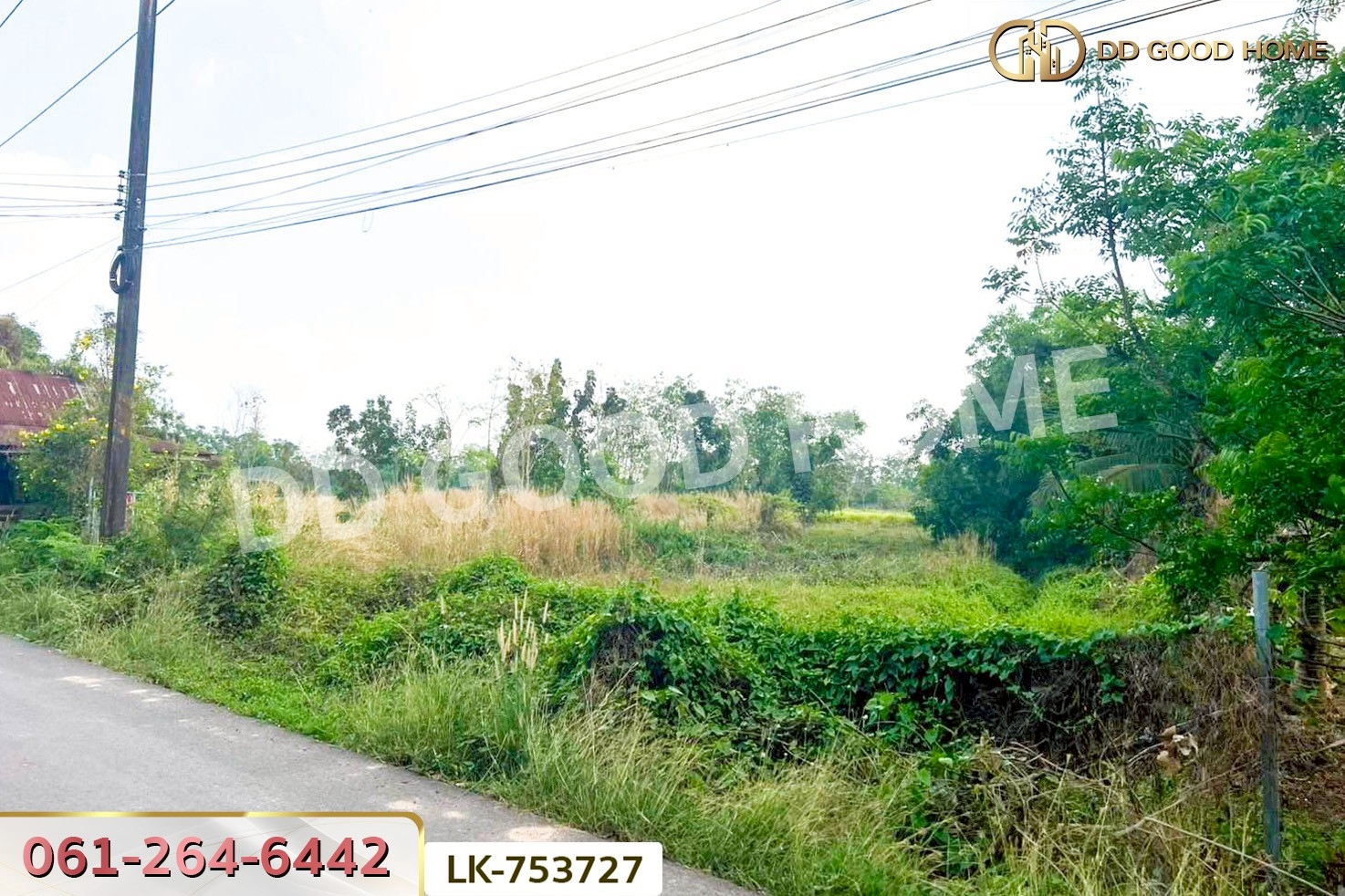 NI-753727 ที่ดินปากพลี 5 ไร่ 255.4 ตร.ว. นครนายก ใกล้วัดดงแขวน