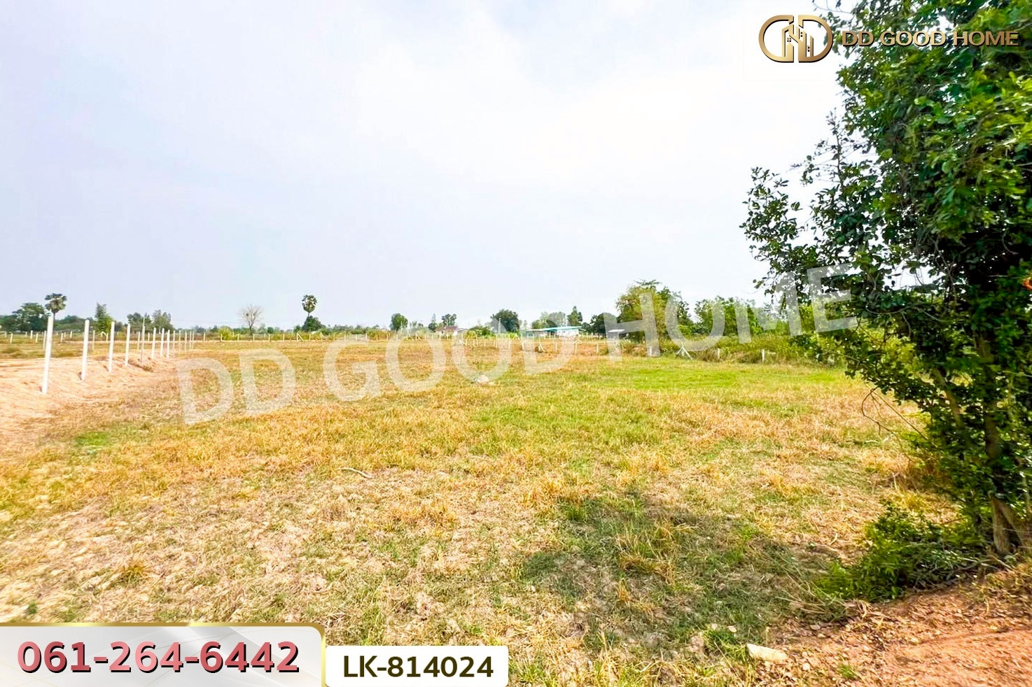 FN-814024 ที่ดินหนองหญ้าไซ 1 ไร่ สุพรรณบุรี ใกล้วัดบัลลังก์