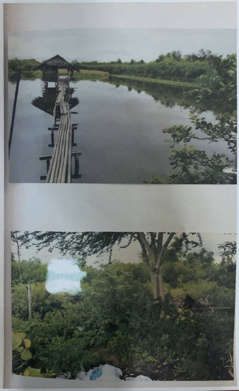 ขายที่ดินเปล่า ต.นาโคก อ.เมืองสมุทรสาคร เนื้อที่ 2-3-92 ไร่ ราคา 1 ล้านบาทถ้วน (ค่าใช้จ่าย ณ กรมที่ดินผู้ซื้อออก) ที่ดินสามารถปลูกบ้านได้ประมาณครึ่งไร่ ที่เหลือเป็นบ่อเลี้ยงปลาและ ติดคลองธรรมชาติสามารถเอาน้ำเข้าบ่อได้เลย