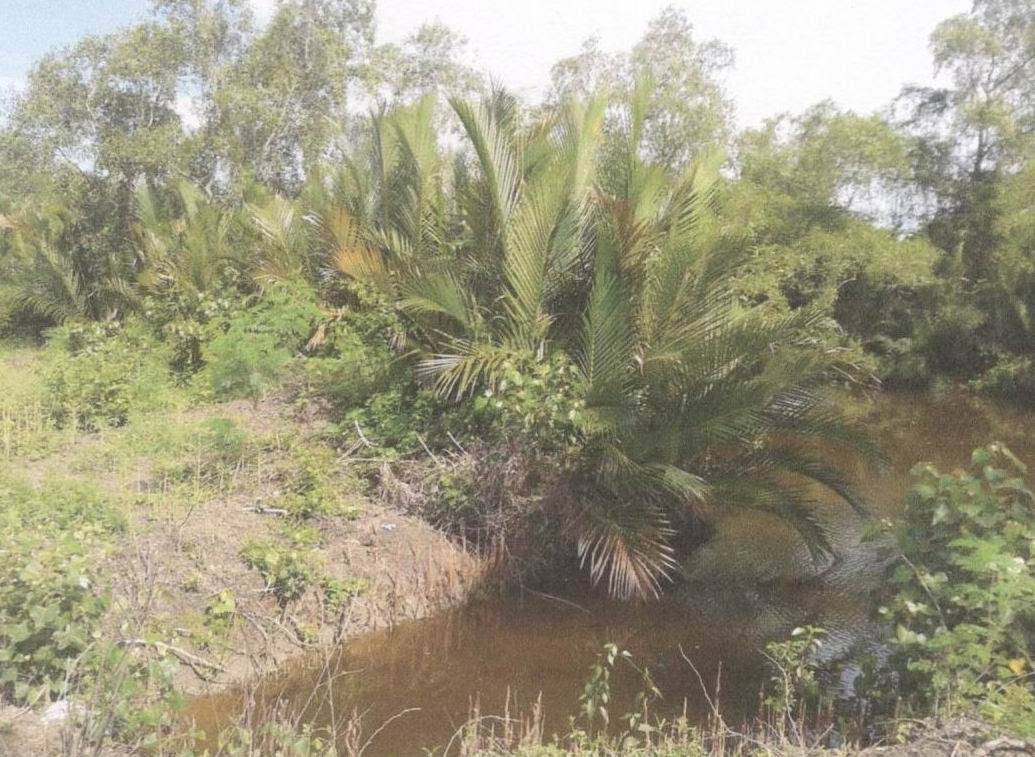 ขายที่ดินเปล่า ต.นาโคก อ.เมืองสมุทรสาคร เนื้อที่ 2-3-92 ไร่ ราคา 1 ล้านบาทถ้วน (ค่าใช้จ่าย ณ กรมที่ดินผู้ซื้อออก) ที่ดินสามารถปลูกบ้านได้ประมาณครึ่งไร่ ที่เหลือเป็นบ่อเลี้ยงปลาและ ติดคลองธรรมชาติสามารถเอาน้ำเข้าบ่อได้เลย