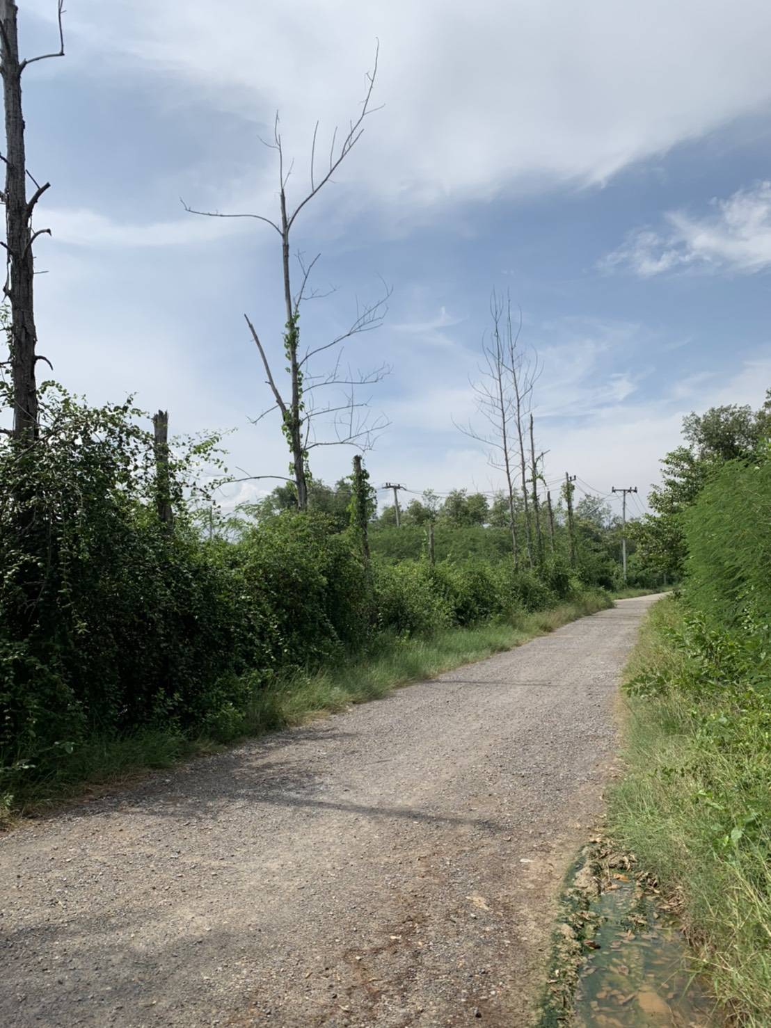 ขายที่ดินเปล่า ต.นาโคก อ.เมืองสมุทรสาคร เนื้อที่ 2-3-92 ไร่ ราคา 1 ล้านบาทถ้วน (ค่าใช้จ่าย ณ กรมที่ดินผู้ซื้อออก) ที่ดินสามารถปลูกบ้านได้ประมาณครึ่งไร่ ที่เหลือเป็นบ่อเลี้ยงปลาและ ติดคลองธรรมชาติสามารถเอาน้ำเข้าบ่อได้เลย