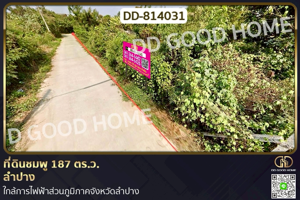 DD-814031 ที่ดินชมพู 169 ตร.ว. ลำปาง ใกล้การไฟฟ้าส่วนภูมิภาคจังหวัดลำปาง