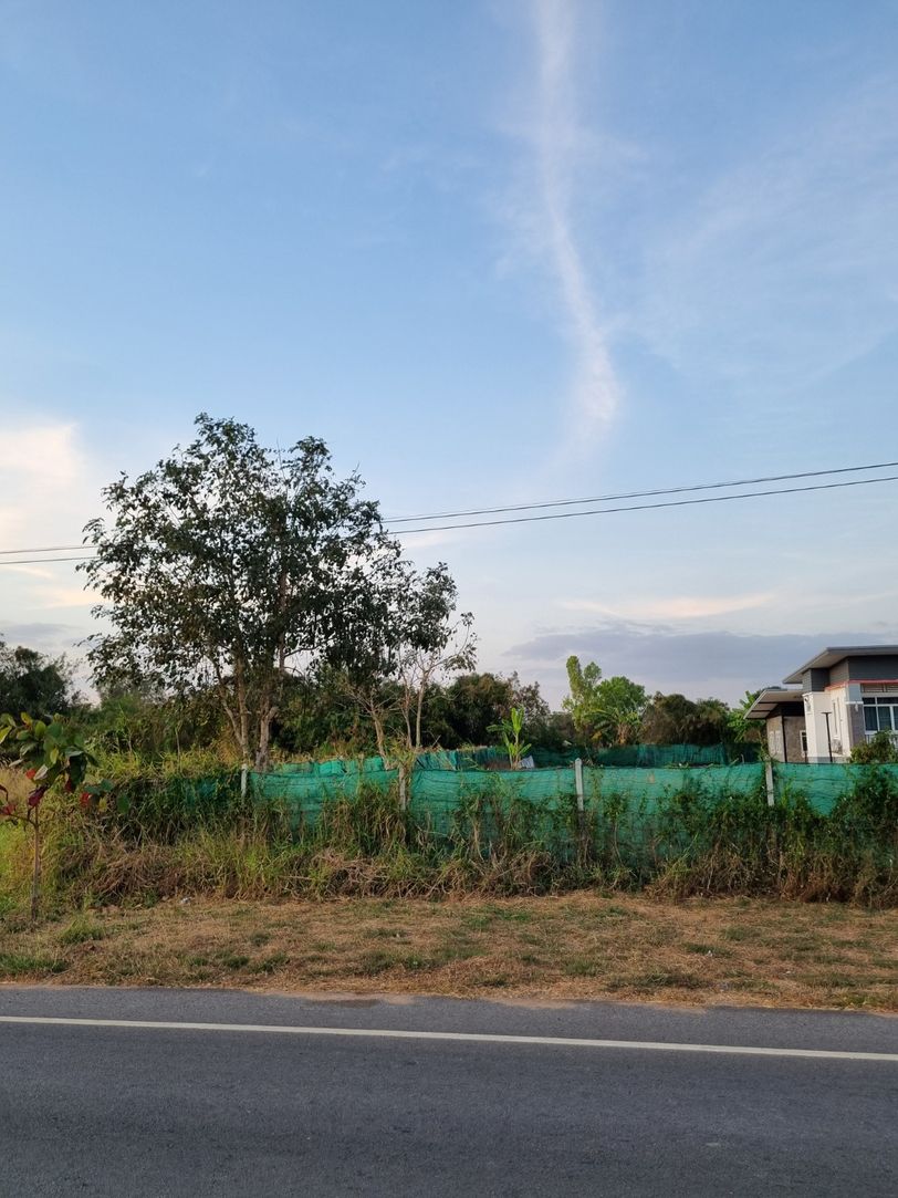 ขายที่ดินเปล่า ทำเลทอง ตำบลขามทะเลสอ อำเภอขามทะเลสอ จังหวัดนครราชสีมา