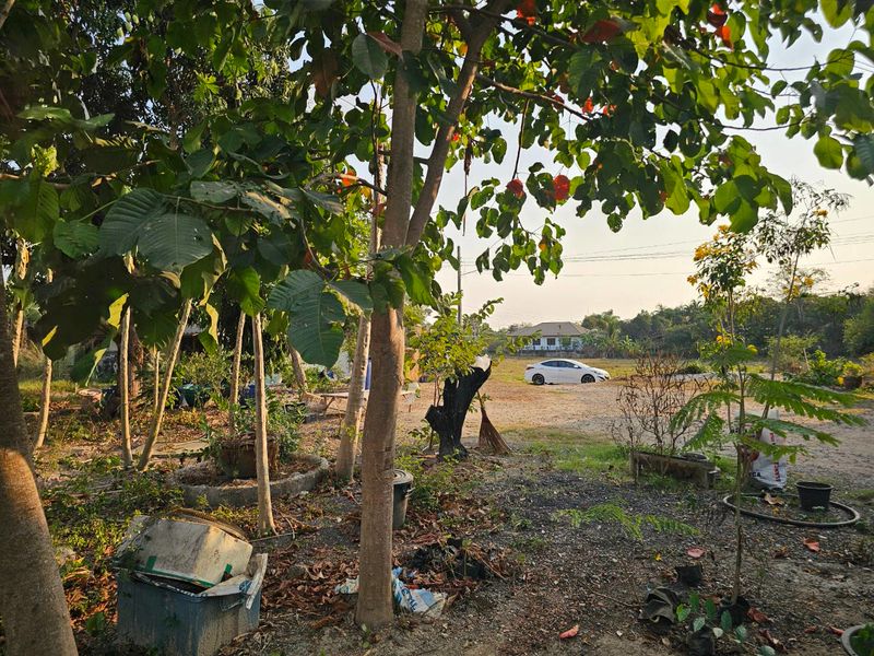 ขายที่ดินเปล่าถมเเล้ว ทำเลทอง ใกล้ทะเลระยอง ตำบลตะพง อำเภอเมือง จังหวัดระยอง