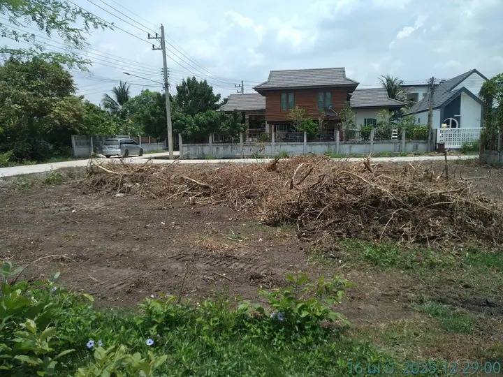 ขายที่ดินเปล่า ทำเลดี ทางเข้าออกสะดวกสบาย ใกล้สถานศึกษา จังหวัดบุรีรัมย์