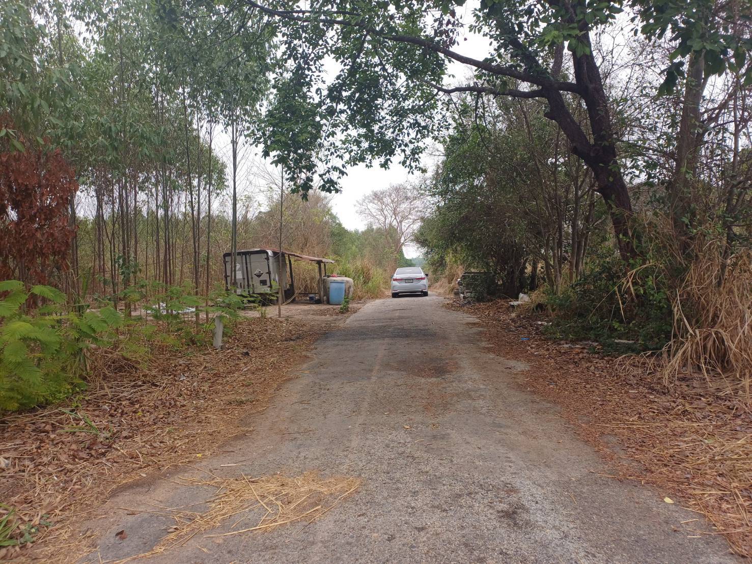 ขายที่ดินจัดสรร ทำเลดี  ตำบลหนองอิรุณ อำเภอบ้านบึง จังหวัดชลบุรี 