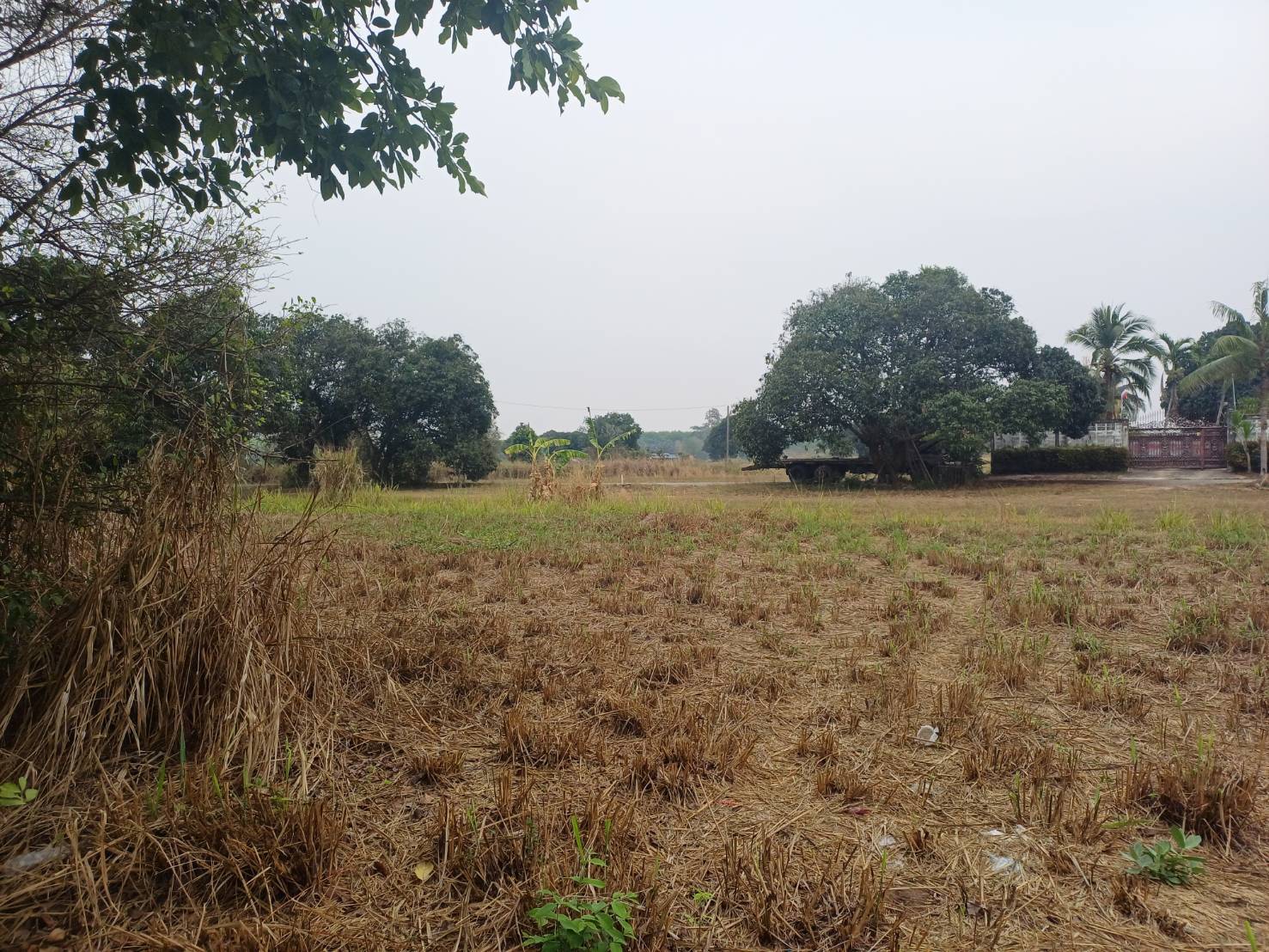 ขายที่ดินจัดสรร ทำเลดี  ตำบลหนองอิรุณ อำเภอบ้านบึง จังหวัดชลบุรี 
