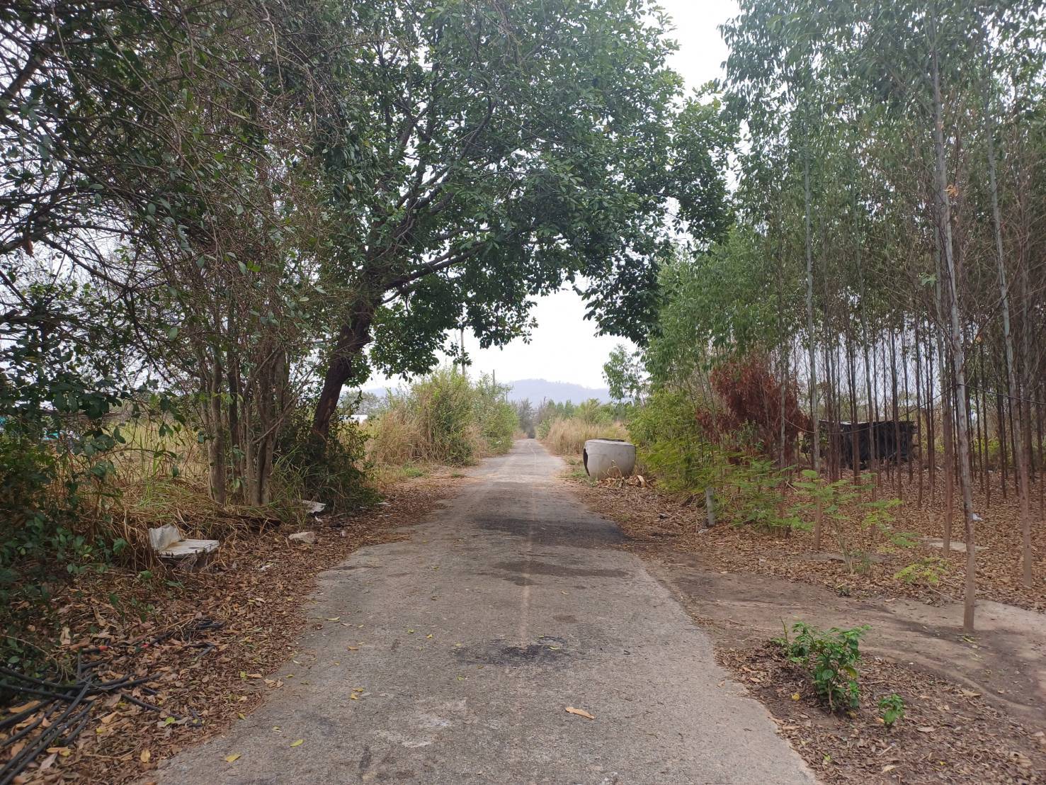 ขายที่ดินจัดสรร ทำเลดี  ตำบลหนองอิรุณ อำเภอบ้านบึง จังหวัดชลบุรี 