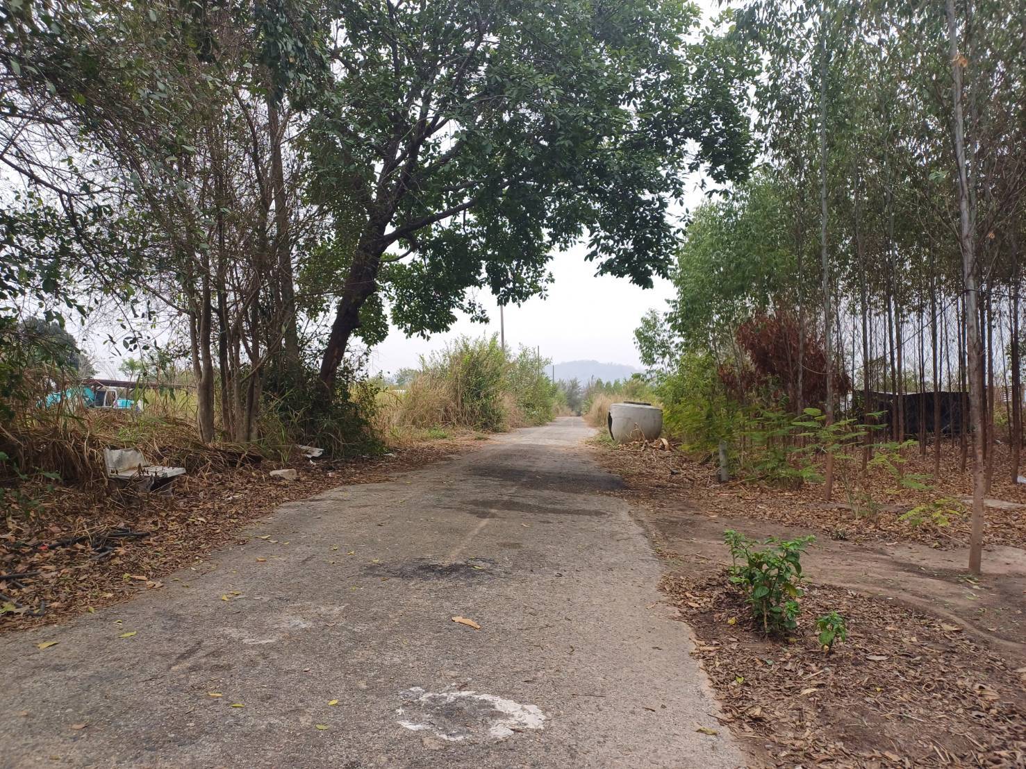 ขายที่ดินจัดสรร ทำเลดี  ตำบลหนองอิรุณ อำเภอบ้านบึง จังหวัดชลบุรี 