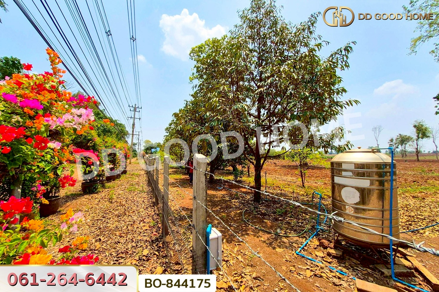 BO-844175 ที่ดินหนองบุญมาก 66 ไร่ 259 ตร.ว. นครราชสีมา ใกล้โรงพยาบาลหนองบุญมาก