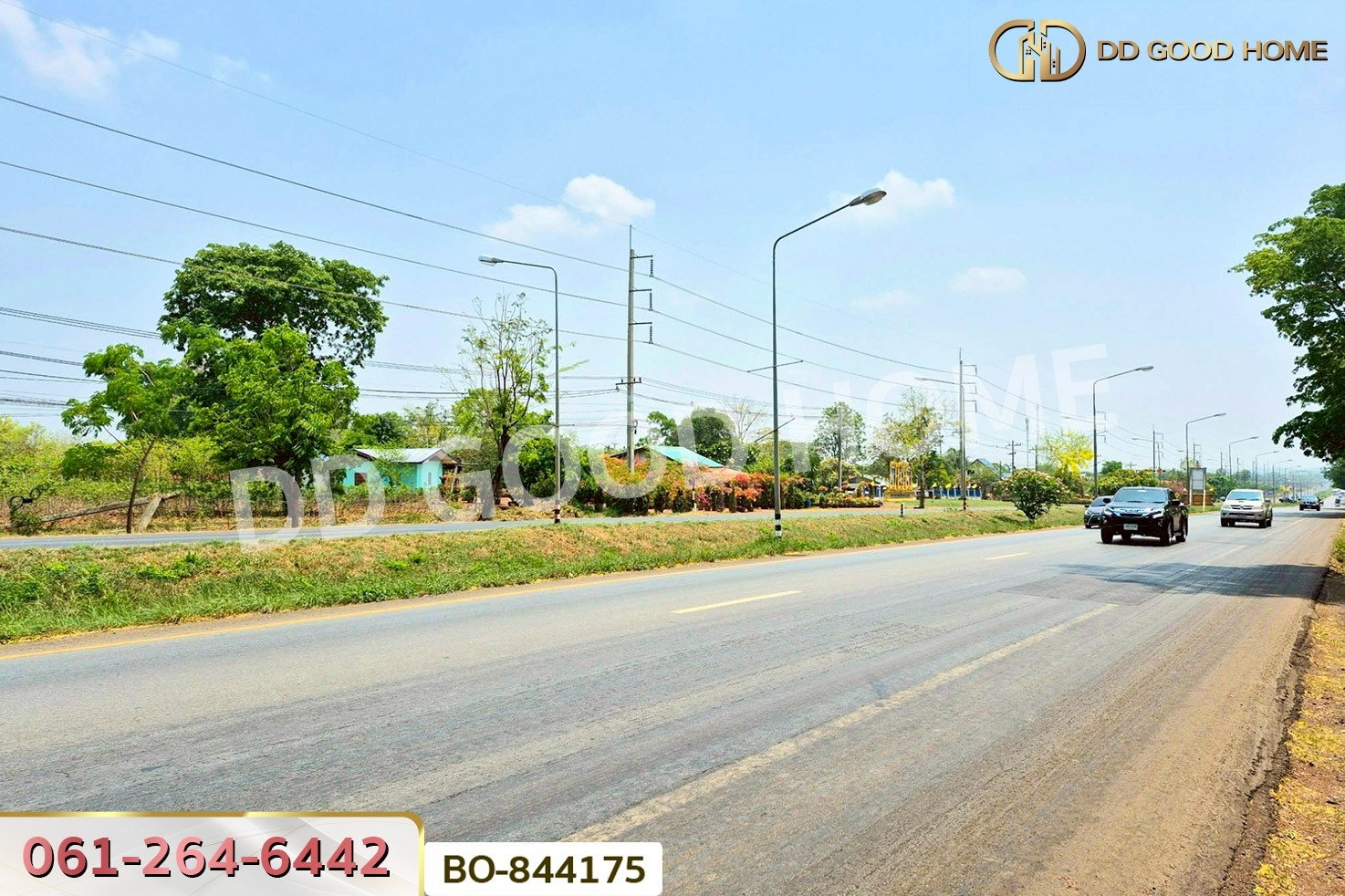 BO-844175 ที่ดินหนองบุญมาก 66 ไร่ 259 ตร.ว. นครราชสีมา ใกล้โรงพยาบาลหนองบุญมาก