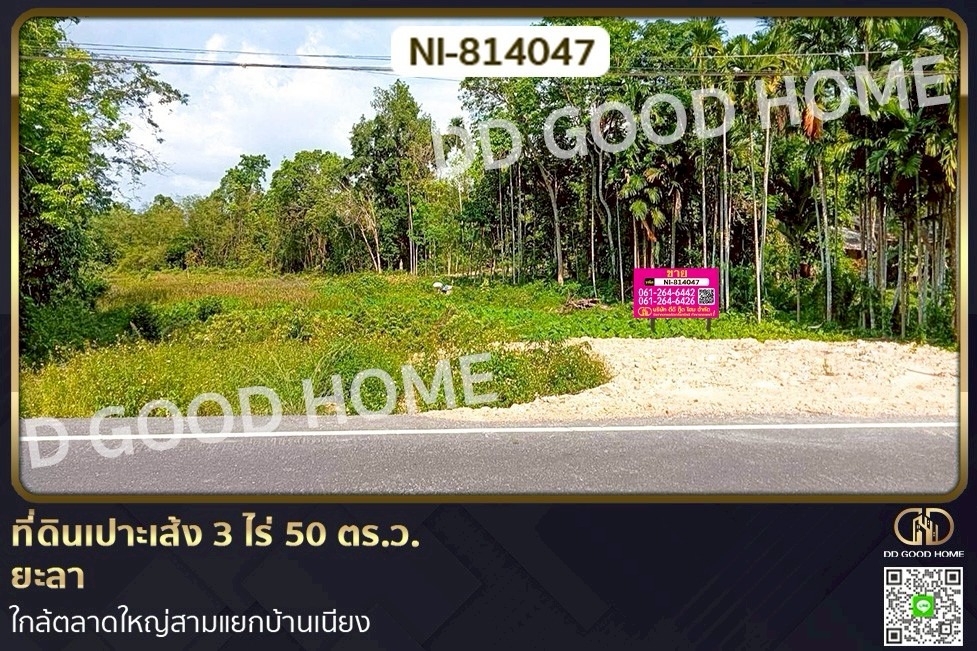 NI-814047 ที่ดินเปาะเส้ง 3 ไร่ 50 ตร.ว. ยะลา ใกล้ตลาดใหญ่สามแยกบ้านเนียง