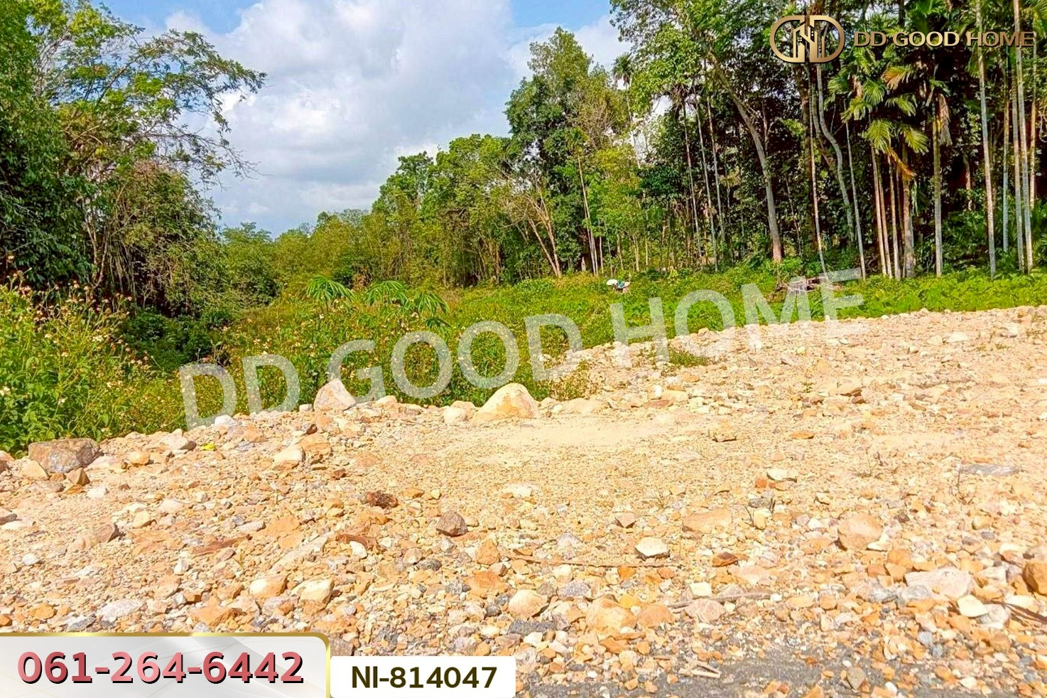 NI-814047 ที่ดินเปาะเส้ง 3 ไร่ 50 ตร.ว. ยะลา ใกล้ตลาดใหญ่สามแยกบ้านเนียง