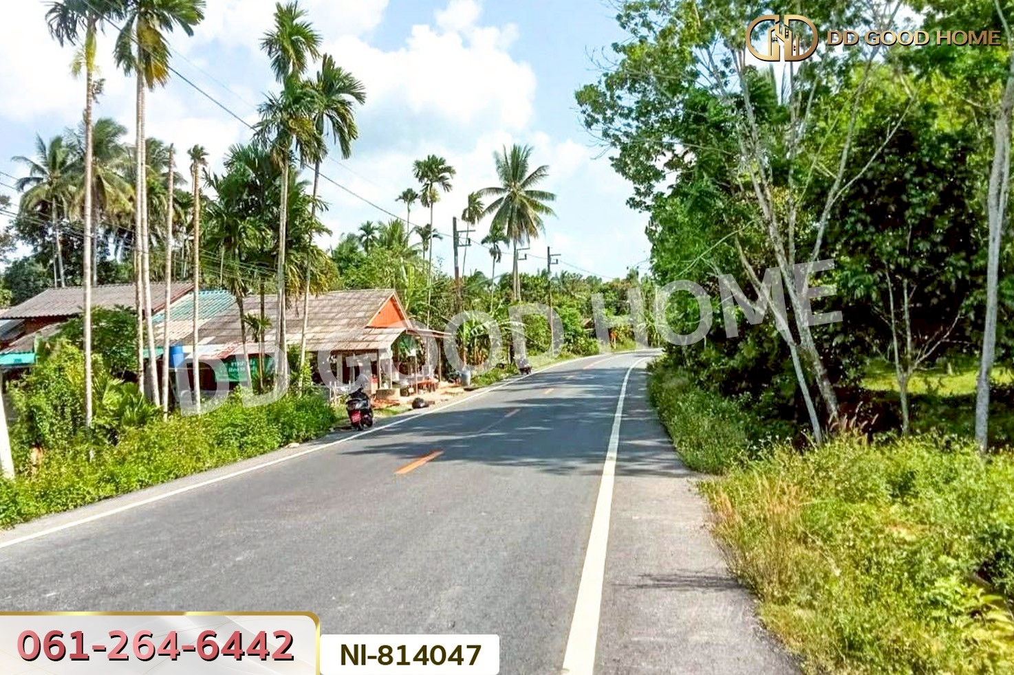 NI-814047 ที่ดินเปาะเส้ง 3 ไร่ 50 ตร.ว. ยะลา ใกล้ตลาดใหญ่สามแยกบ้านเนียง