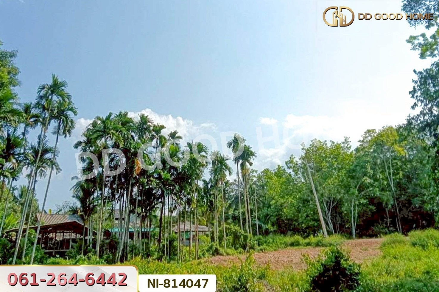 NI-814047 ที่ดินเปาะเส้ง 3 ไร่ 50 ตร.ว. ยะลา ใกล้ตลาดใหญ่สามแยกบ้านเนียง