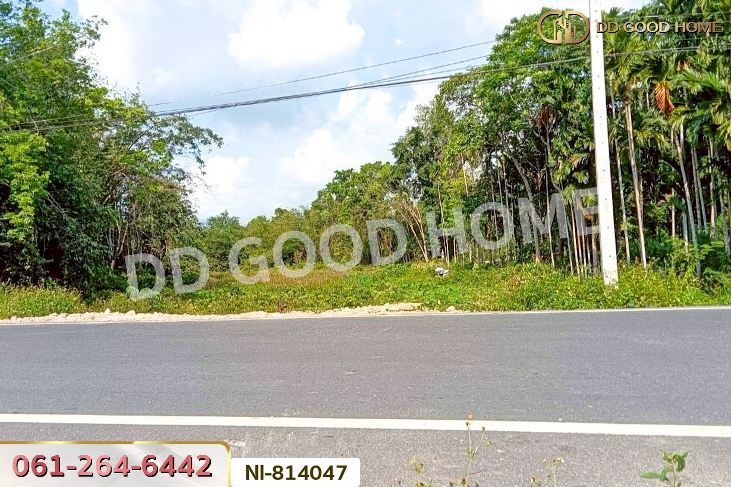 NI-814047 ที่ดินเปาะเส้ง 3 ไร่ 50 ตร.ว. ยะลา ใกล้ตลาดใหญ่สามแยกบ้านเนียง