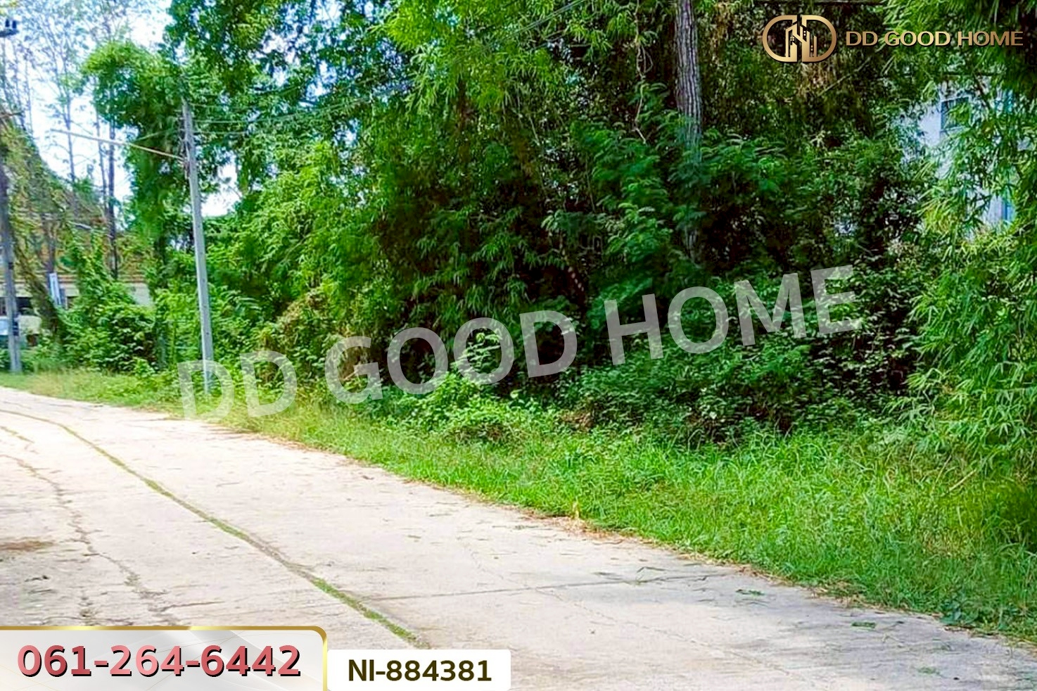 NI-884381 ที่ดินกวนวัน 251.5 ตร.ว. หนองคาย ใกล้วัดพระไชยเชษฐา