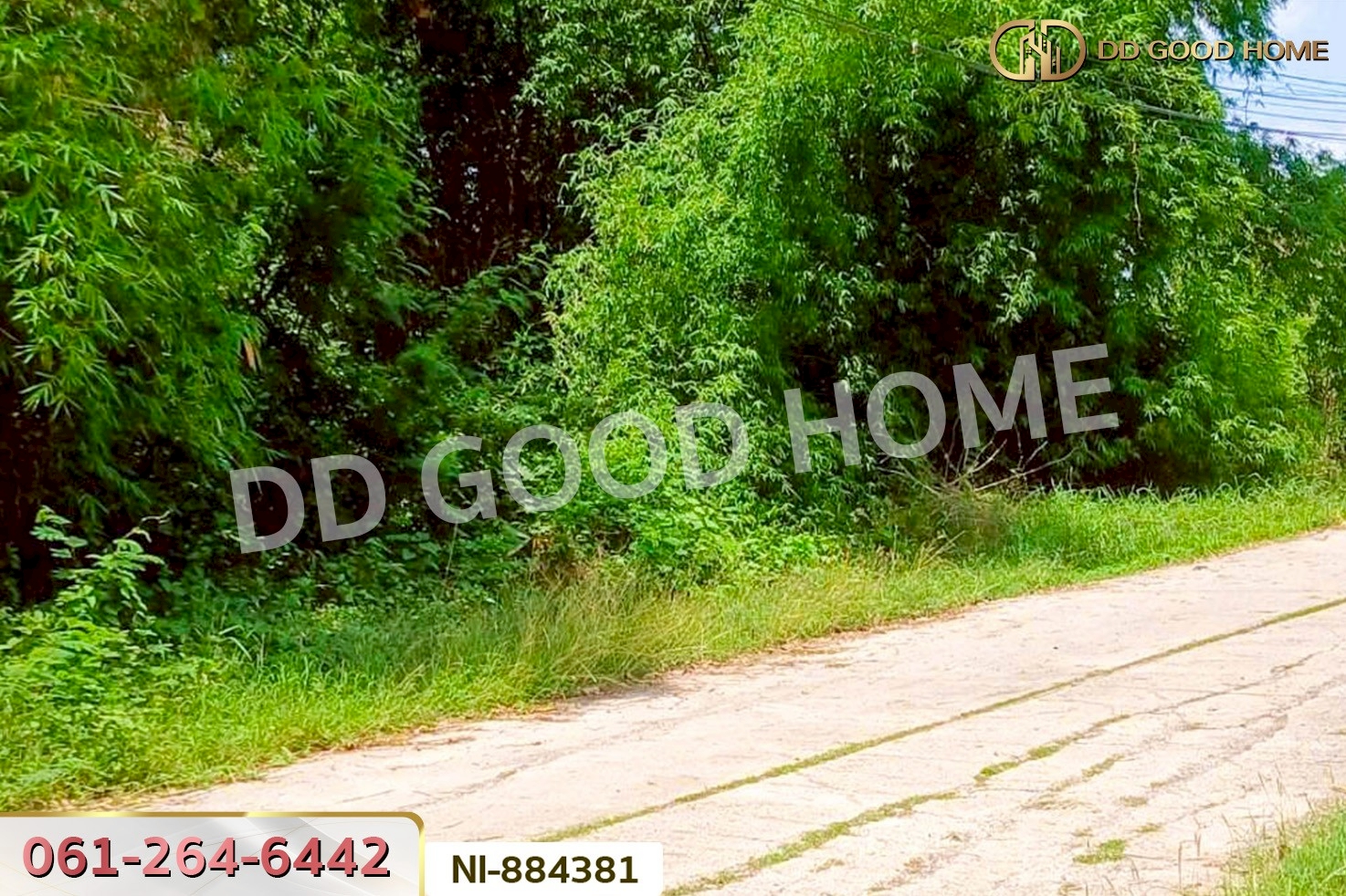 NI-884381 ที่ดินกวนวัน 251.5 ตร.ว. หนองคาย ใกล้วัดพระไชยเชษฐา