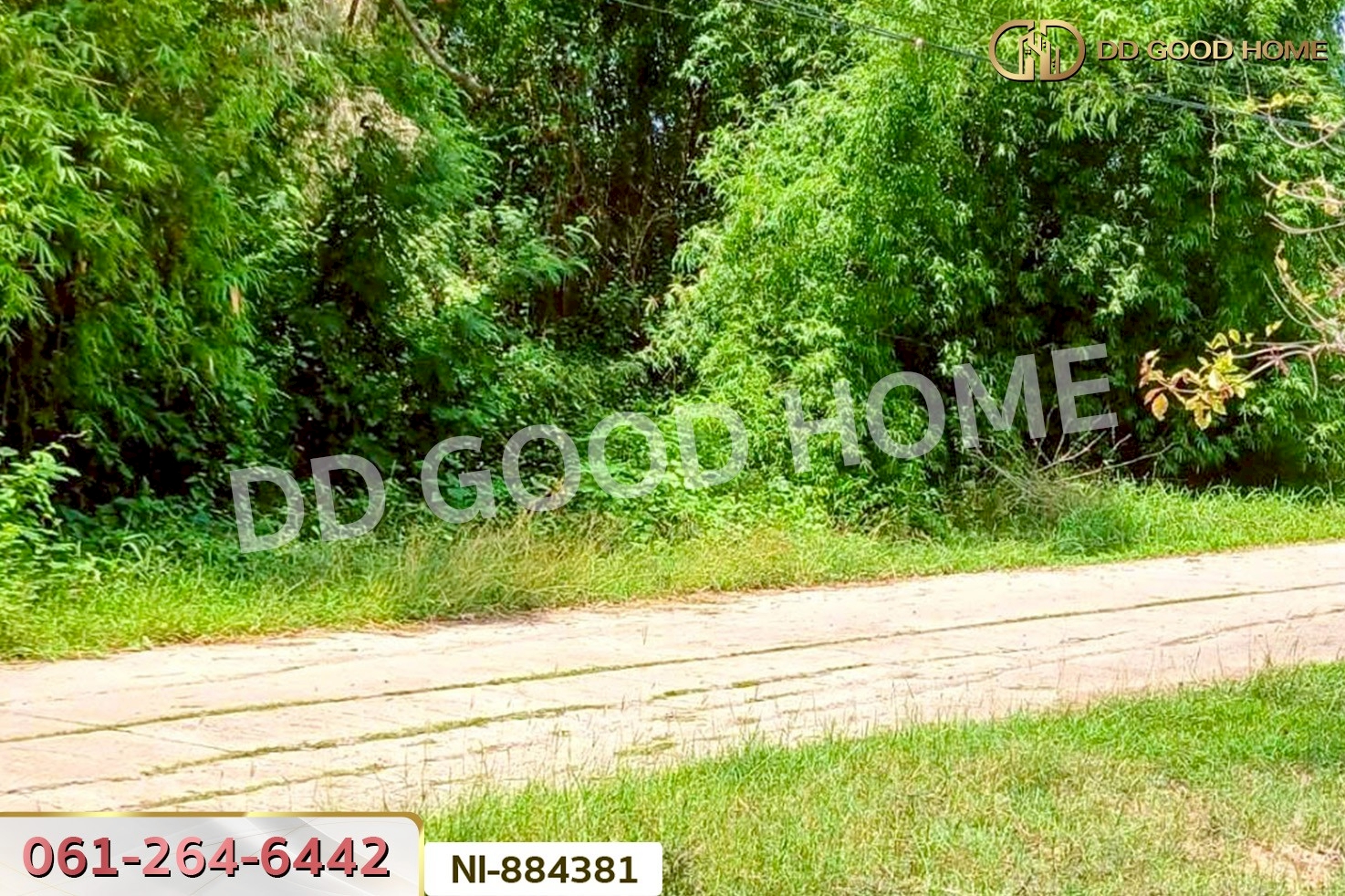 NI-884381 ที่ดินกวนวัน 251.5 ตร.ว. หนองคาย ใกล้วัดพระไชยเชษฐา