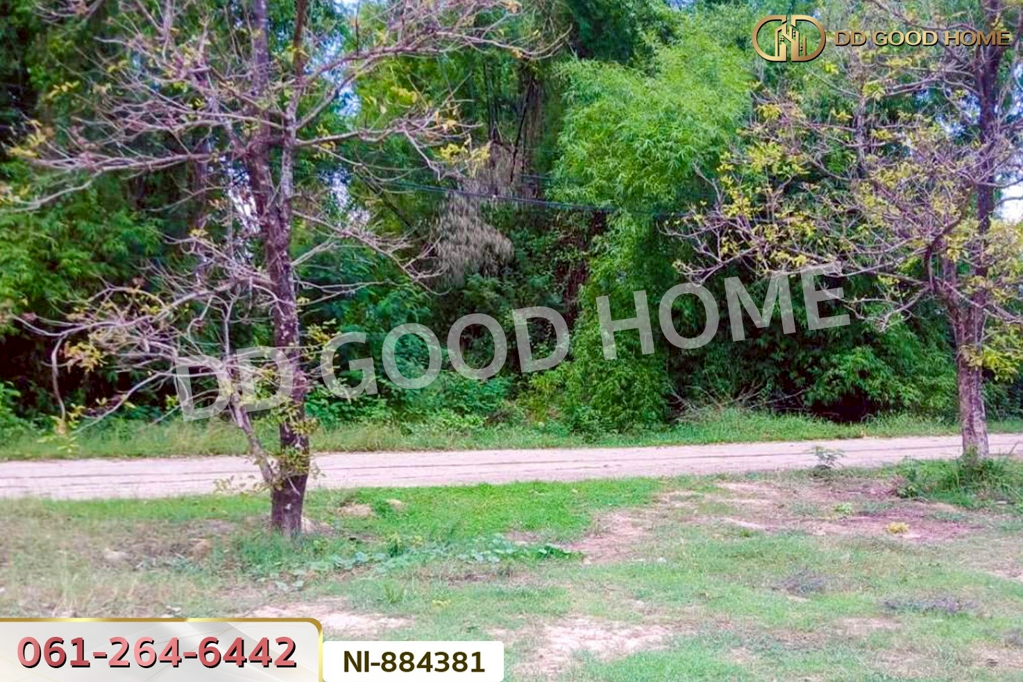 NI-884381 ที่ดินกวนวัน 251.5 ตร.ว. หนองคาย ใกล้วัดพระไชยเชษฐา