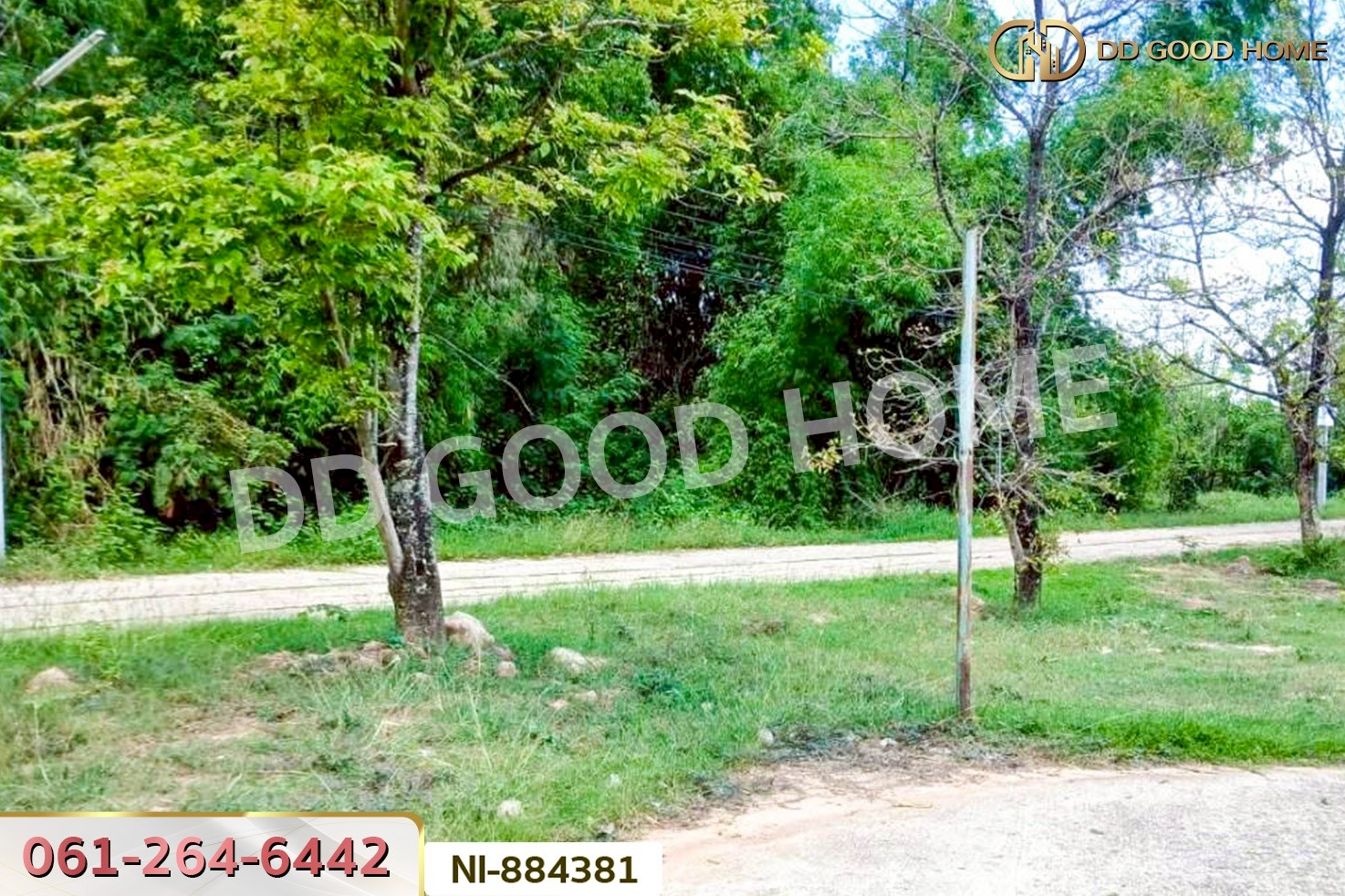 NI-884381 ที่ดินกวนวัน 251.5 ตร.ว. หนองคาย ใกล้วัดพระไชยเชษฐา