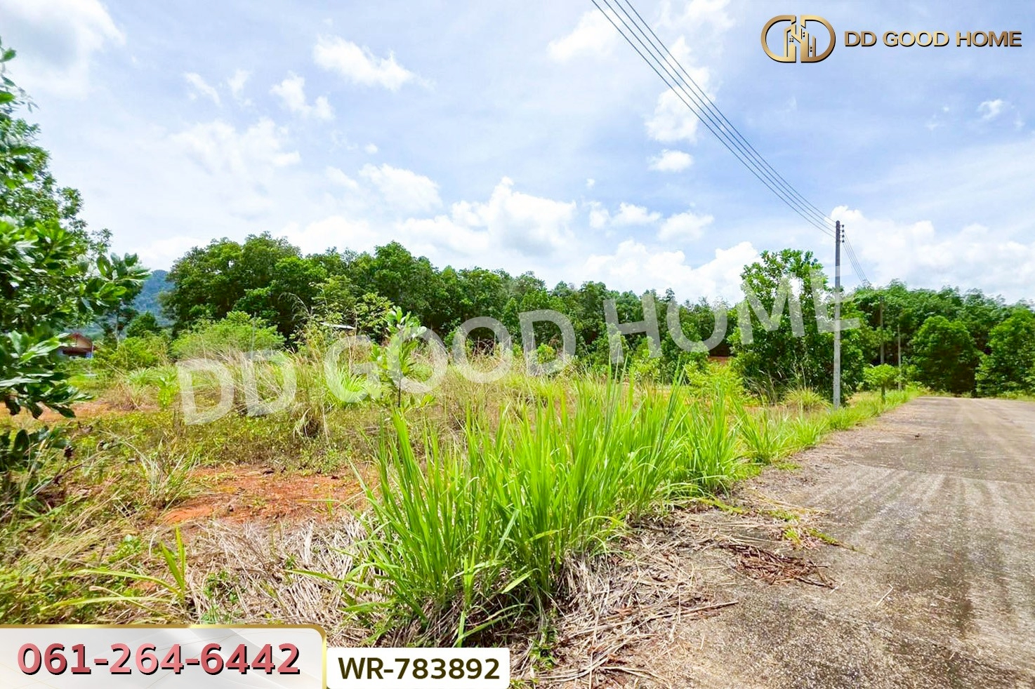 WR-783892 ที่ดินพะโต๊ะ 90 ตร.ว. ชุมพร ใกล้โรงพยาบาลพะโต๊ะ