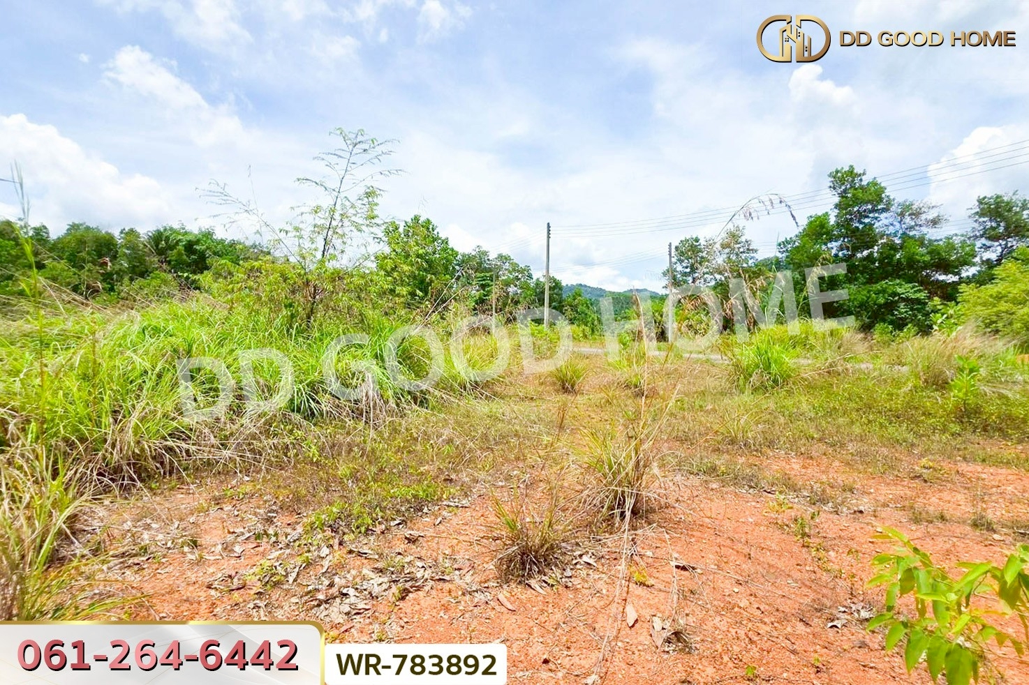 WR-783892 ที่ดินพะโต๊ะ 90 ตร.ว. ชุมพร ใกล้โรงพยาบาลพะโต๊ะ