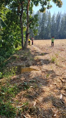 ขายที่ดินเปล่า 2 แปลงติดกัน 9 ไร่ -3 งาน 92.9 ตร.วา ถมและรังวัดเรียบร้อย  อำเภอเมือง จังหวัดเพชรบูรณ์