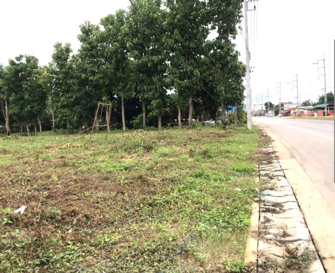 ขายที่ดินเปล่าติดถนน ทำเลทอง ต.แม่กรณ์ อ.เมือง จ.เชียงราย 