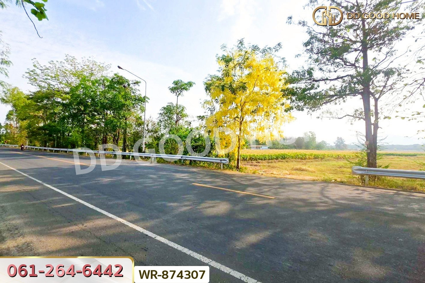 WR-874307 ที่ดินเมืองเพชรบูรณ์ 7 ไร่ 208.2 ตร.ว. ใกล้องค์การบริหารส่วนตำบลน้ำร้อน
