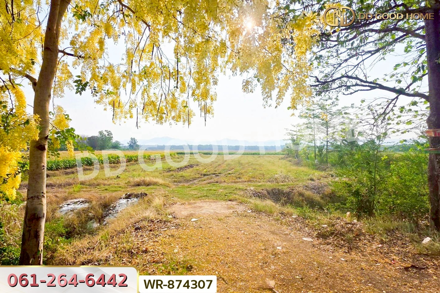 WR-874307 ที่ดินเมืองเพชรบูรณ์ 7 ไร่ 208.2 ตร.ว. ใกล้องค์การบริหารส่วนตำบลน้ำร้อน