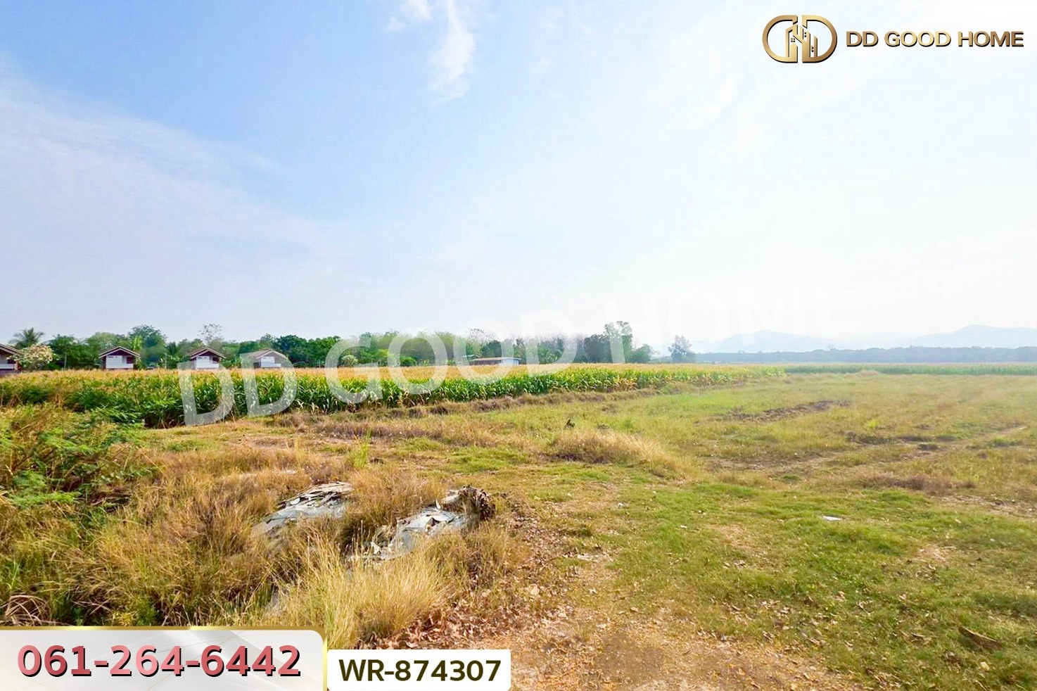 WR-874307 ที่ดินเมืองเพชรบูรณ์ 7 ไร่ 208.2 ตร.ว. ใกล้องค์การบริหารส่วนตำบลน้ำร้อน
