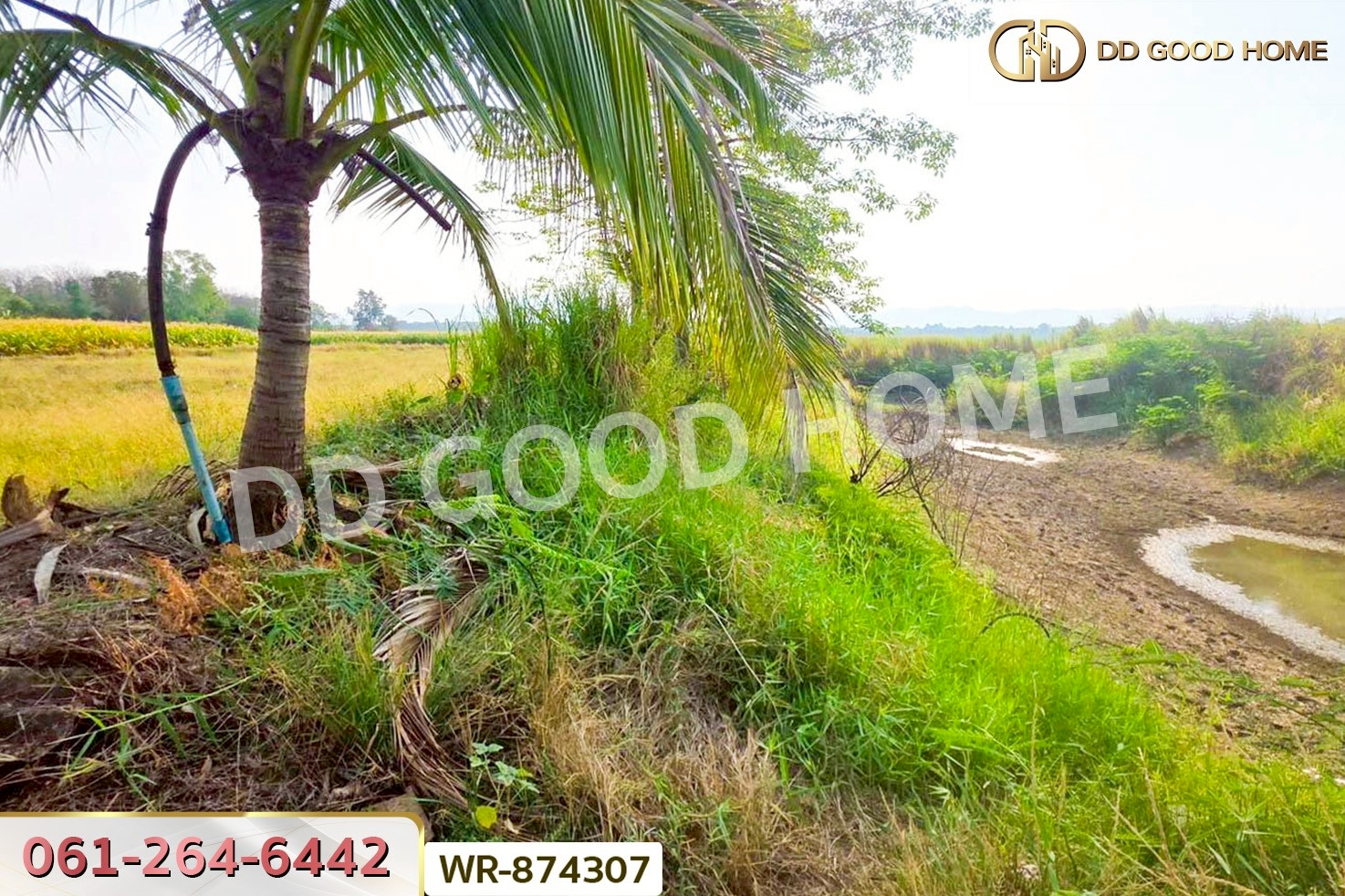 WR-874307 ที่ดินเมืองเพชรบูรณ์ 7 ไร่ 208.2 ตร.ว. ใกล้องค์การบริหารส่วนตำบลน้ำร้อน