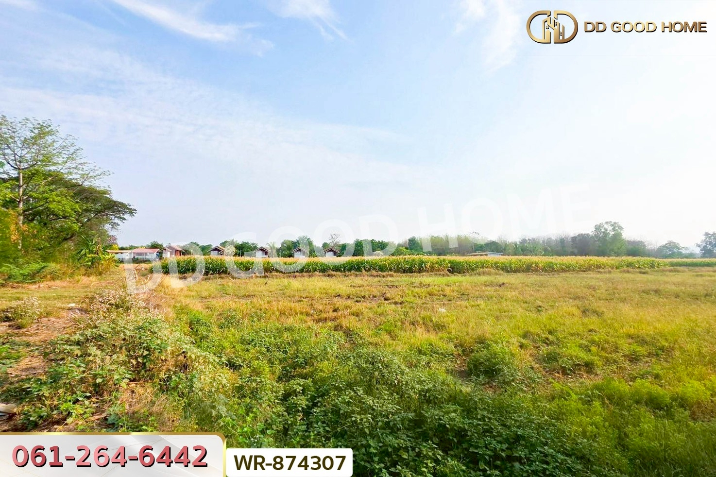 WR-874307 ที่ดินเมืองเพชรบูรณ์ 7 ไร่ 208.2 ตร.ว. ใกล้องค์การบริหารส่วนตำบลน้ำร้อน