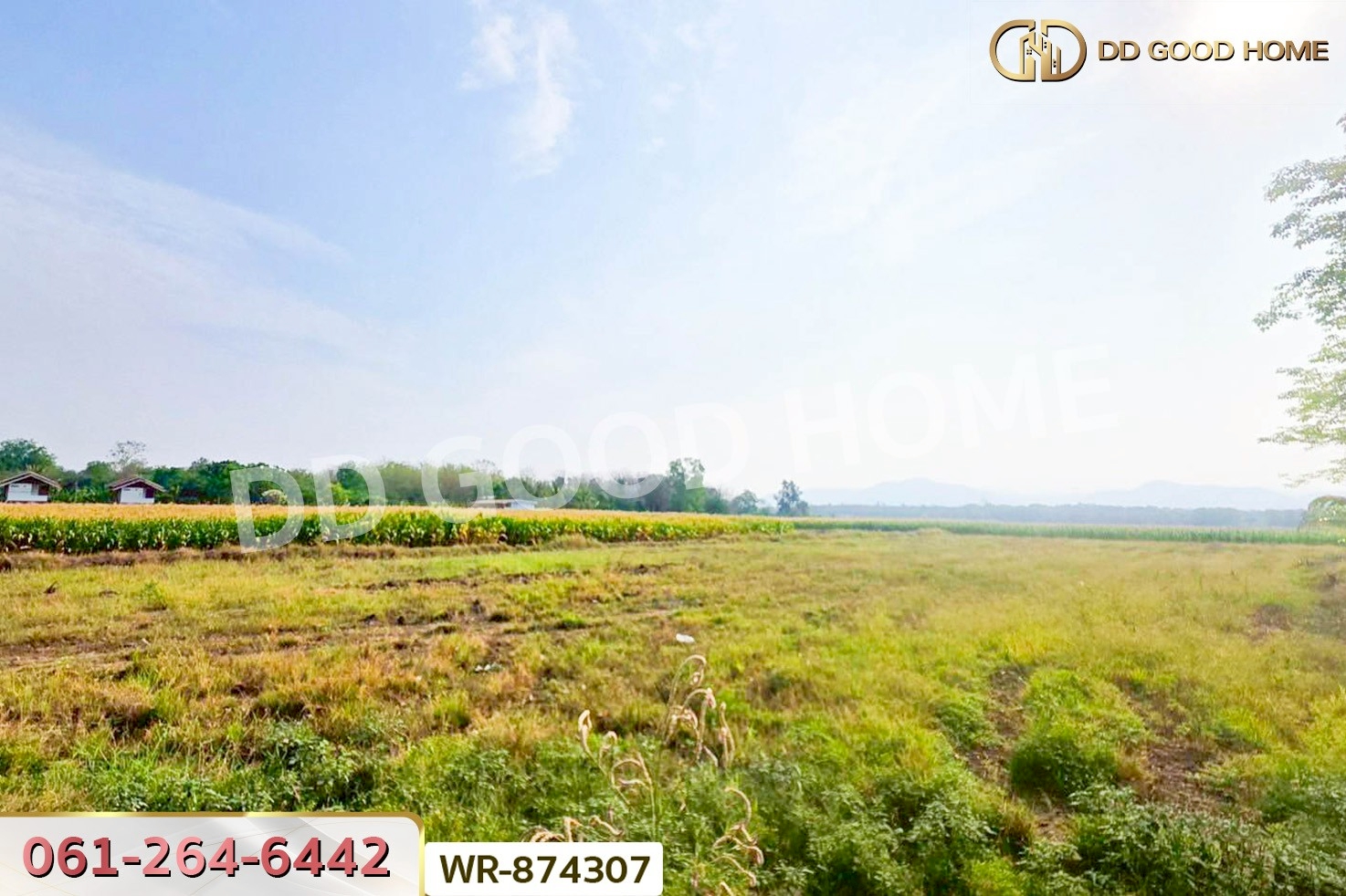WR-874307 ที่ดินเมืองเพชรบูรณ์ 7 ไร่ 208.2 ตร.ว. ใกล้องค์การบริหารส่วนตำบลน้ำร้อน