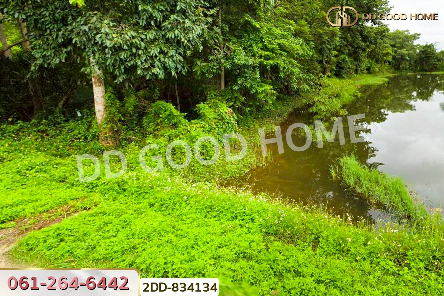 2DD-834134 ที่ดินพาน 1 ไร่ 388 ตร.ว. เชียงราย ใกล้ศูนย์เรียนรู้การพัฒนาสตรีและครอบครัว