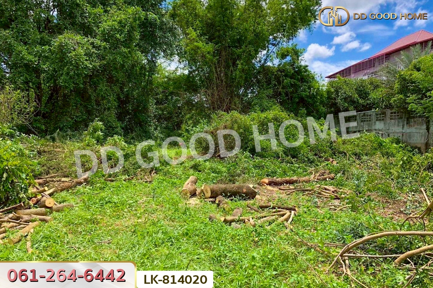 DD-814020 ที่ดินสรรพยา 3 ไร่ 393.7 ตร.ว. ชัยนาท ใกล้บริษัทไทยน้ำทิพย์