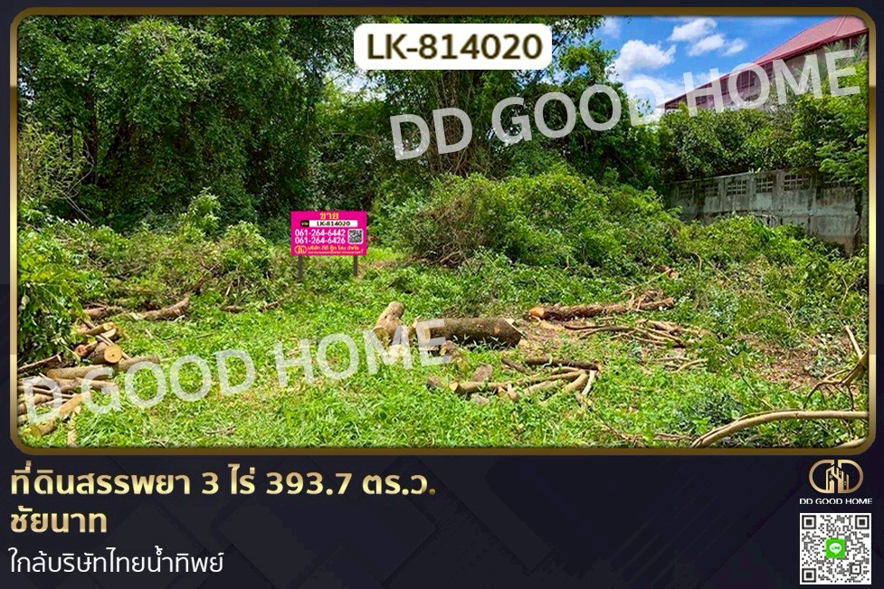 DD-814020 ที่ดินสรรพยา 3 ไร่ 393.7 ตร.ว. ชัยนาท ใกล้บริษัทไทยน้ำทิพย์