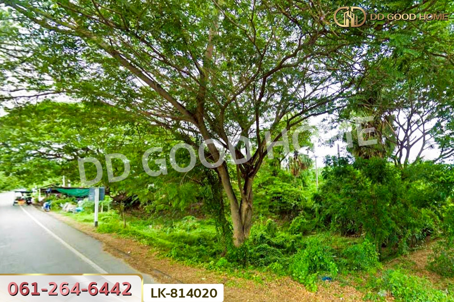 DD-814020 ที่ดินสรรพยา 3 ไร่ 393.7 ตร.ว. ชัยนาท ใกล้บริษัทไทยน้ำทิพย์