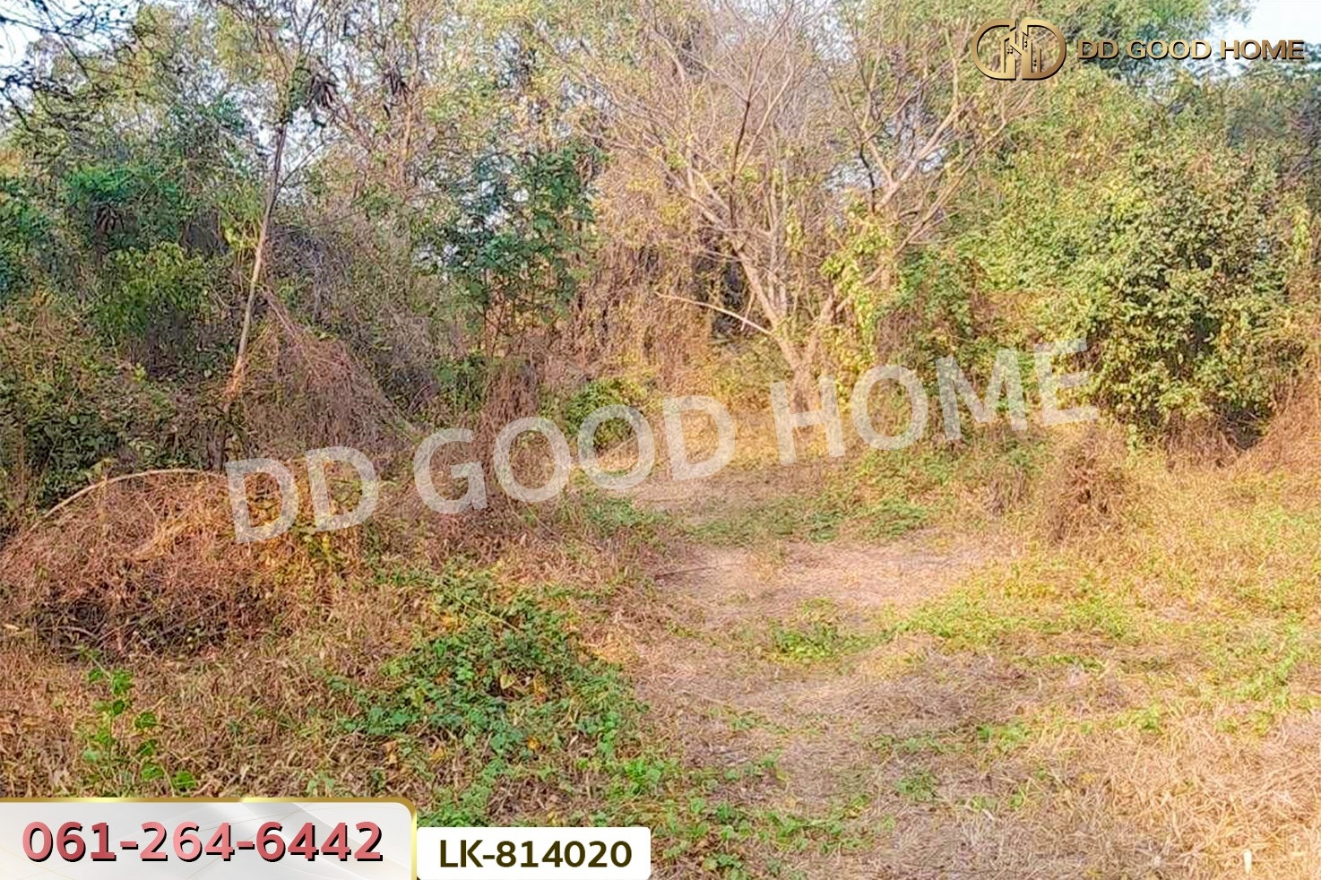 DD-814020 ที่ดินสรรพยา 3 ไร่ 393.7 ตร.ว. ชัยนาท ใกล้บริษัทไทยน้ำทิพย์