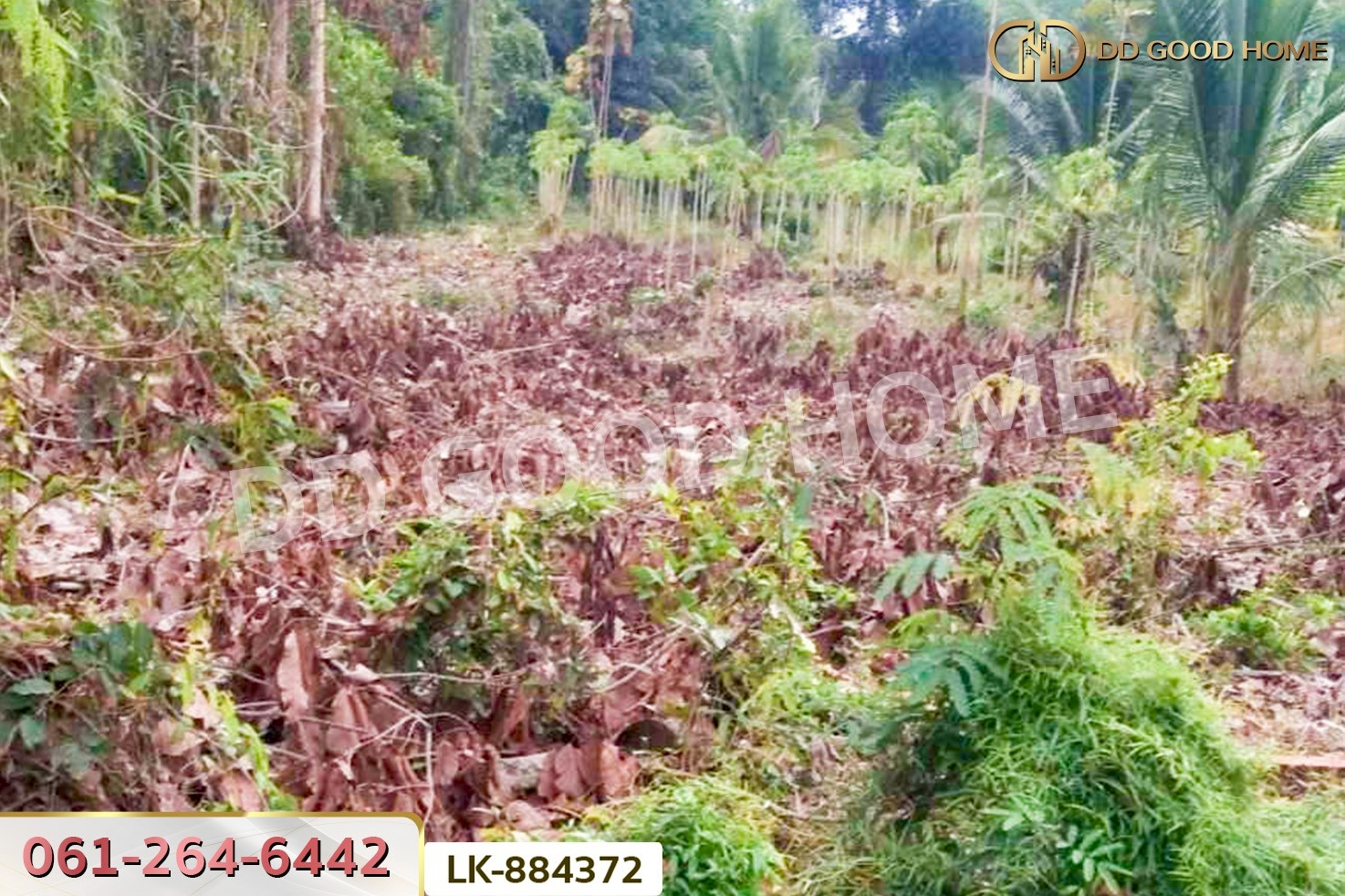 LU-884372 ที่ดินชุมแสง 2 ไร่ 171 ตร.ว. นครสวรรค์ ใกล้วัดดงกะพี้