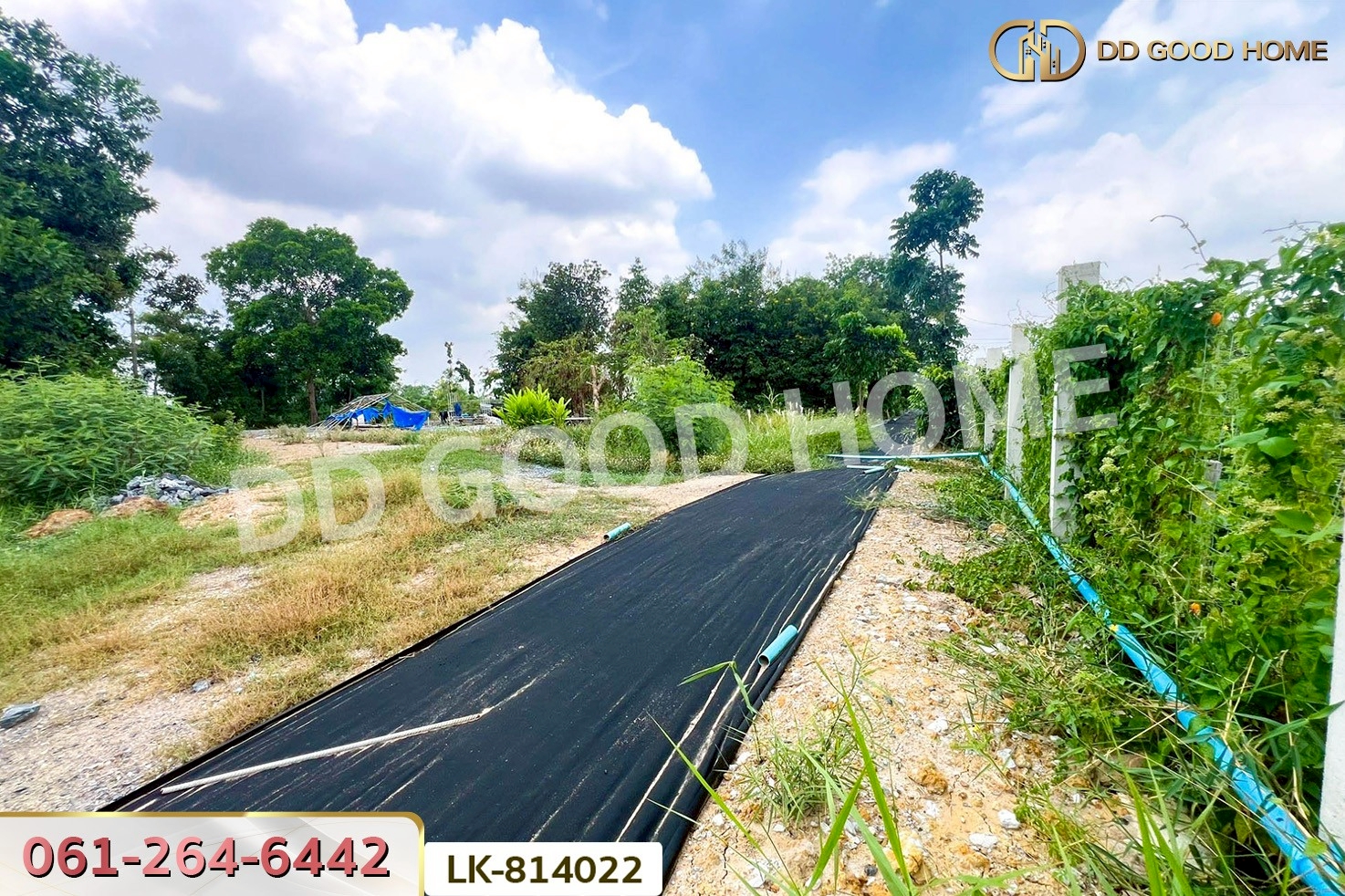 AW-814022 ที่ดินพร้อมสิ่งปลูกสร้างหนองจอก 2 ไร่ 62 ตร.ว. ถ.สุวินทวงศ์ 110 ใกล้สถานีตำรวจนครบาลสุวินทวงศ์