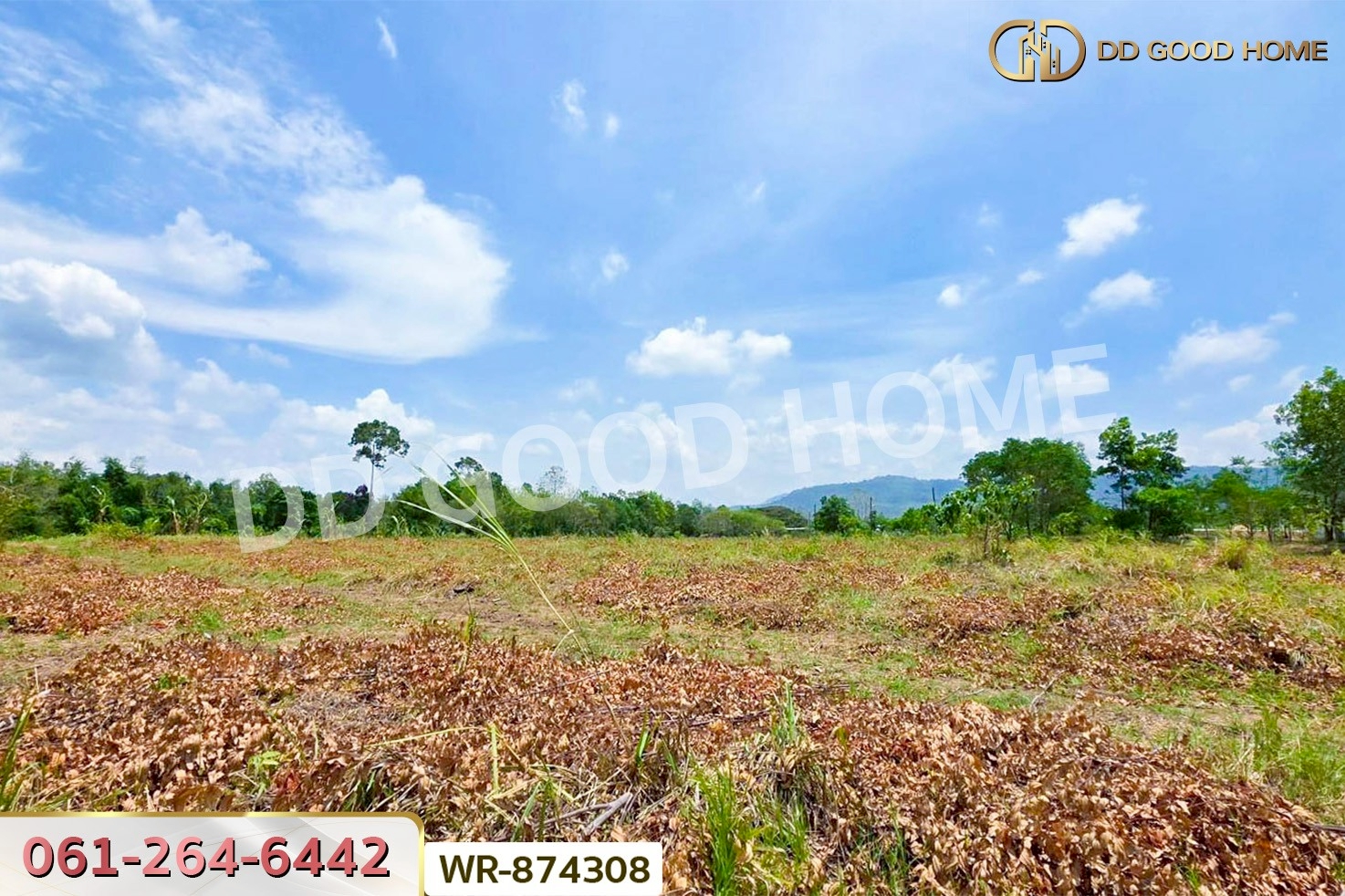 WR-874308 ที่ดินนาดี 27 ไร่ 389 ตร.ว. ปราจีนบุรี ใกล้อุทยานแห่งชาติทับลาน