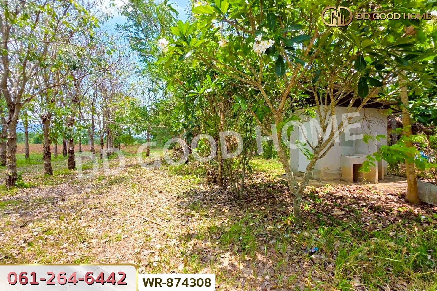 WR-874308 ที่ดินนาดี 27 ไร่ 389 ตร.ว. ปราจีนบุรี ใกล้อุทยานแห่งชาติทับลาน